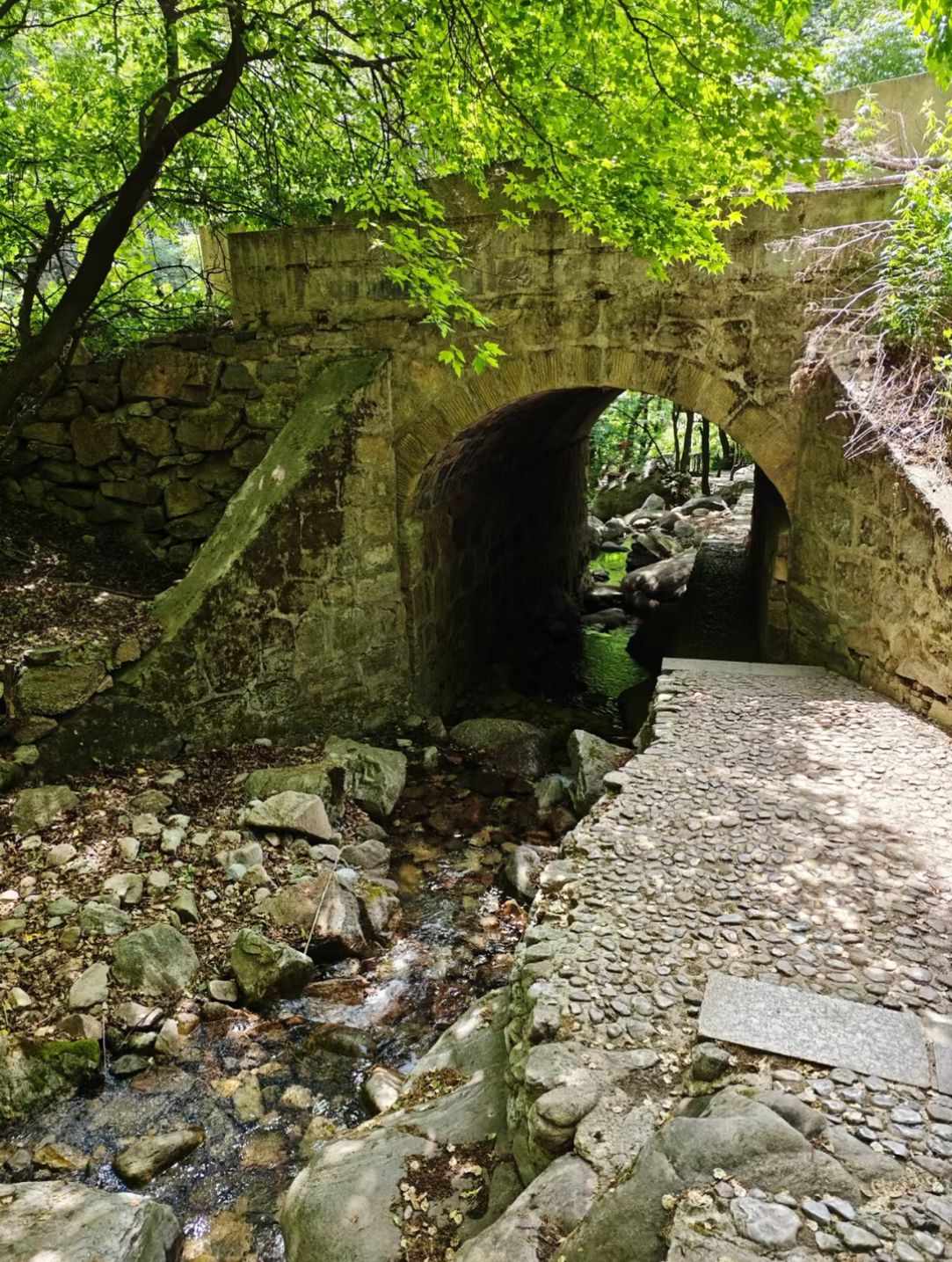 红崖峡谷景区旅行图片 3