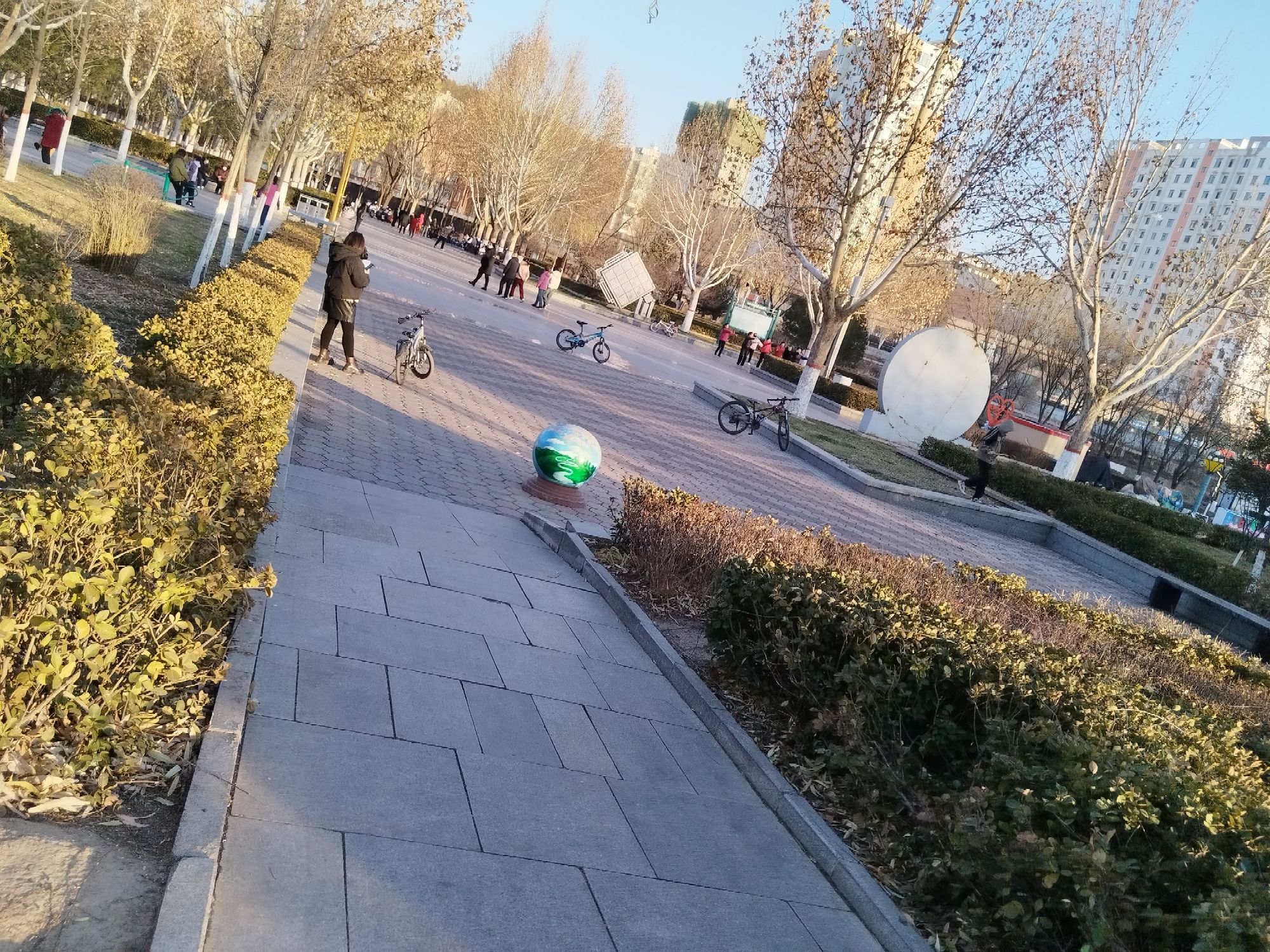 颐民公园旅行图片 1
