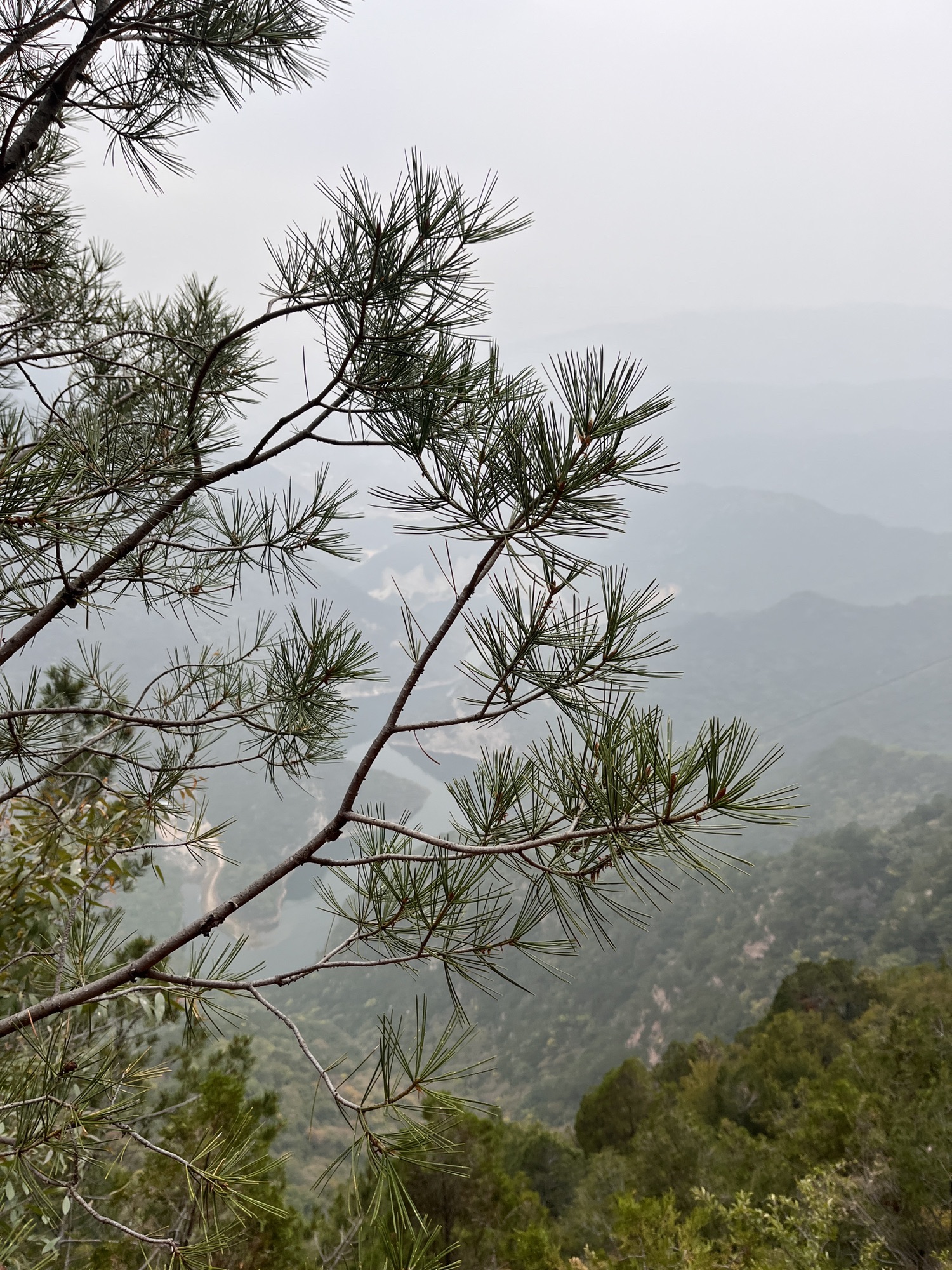 石膏山风景名胜区旅行图片 1