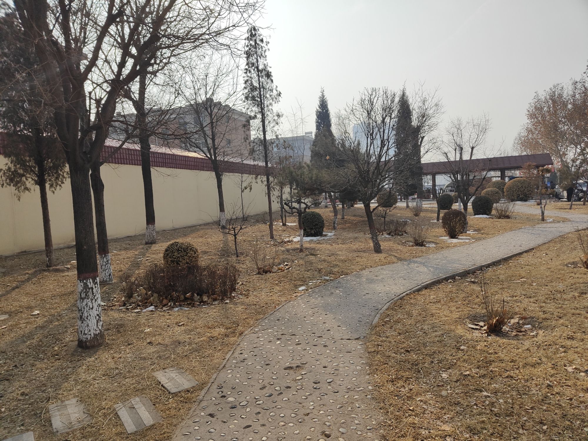 听涛园旅行图片 3