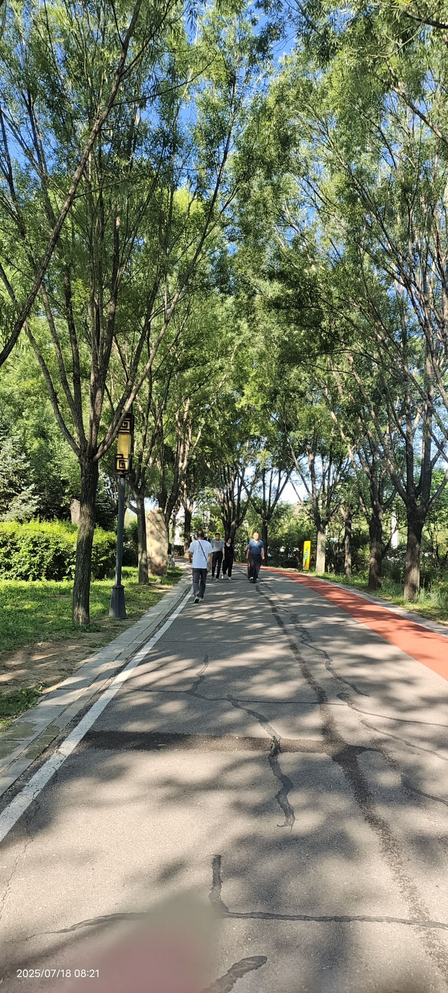 泰和湿地公园