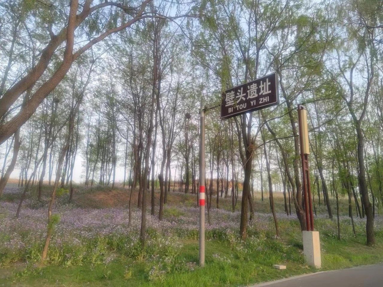壁头遗址旅行图片 1