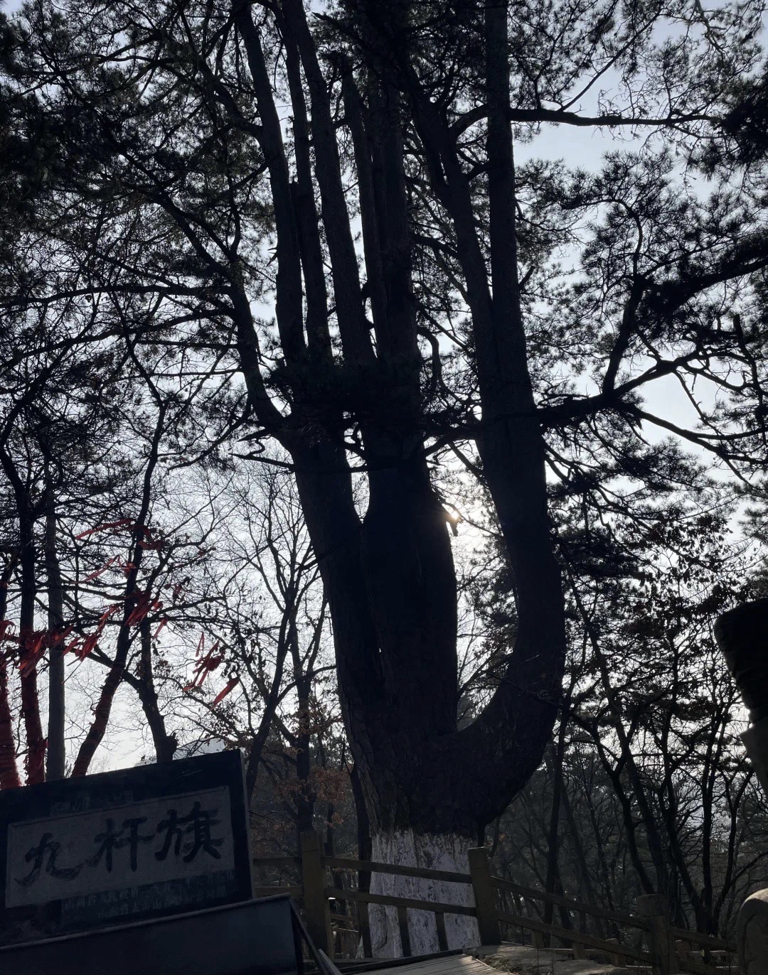 灵空山自然保护区旅行图片 3