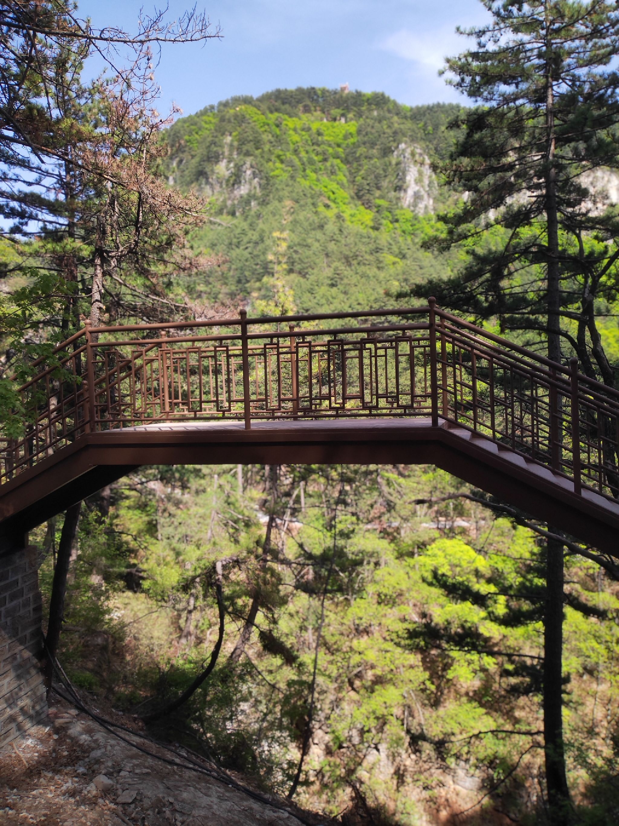 灵空山自然保护区旅行图片 3
