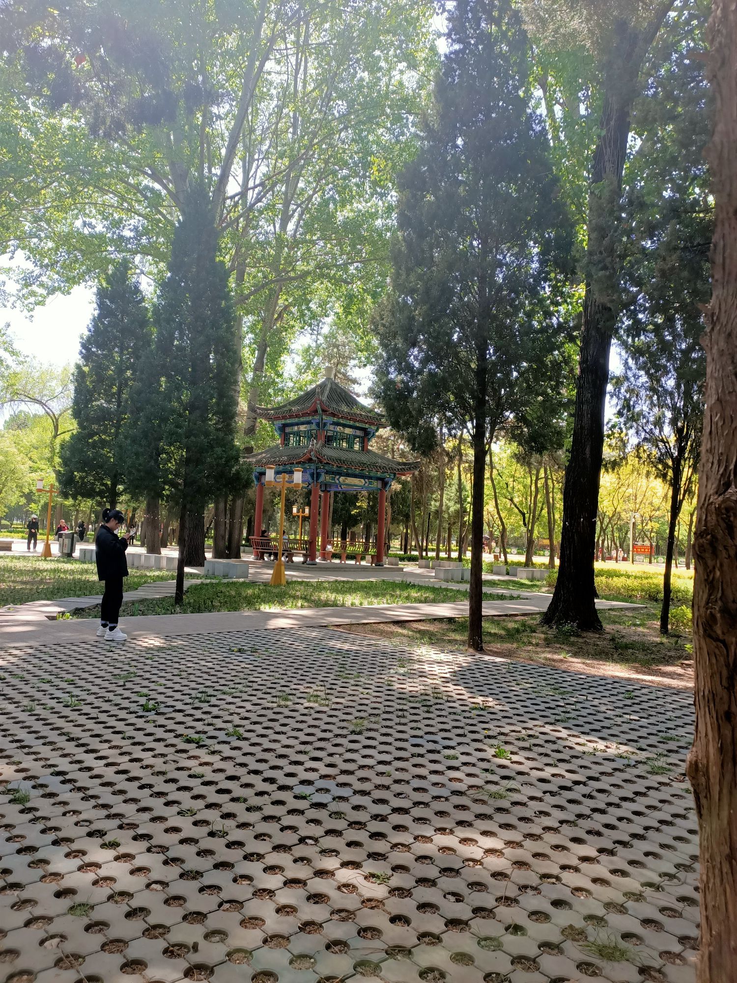 太行公园旅行图片 3