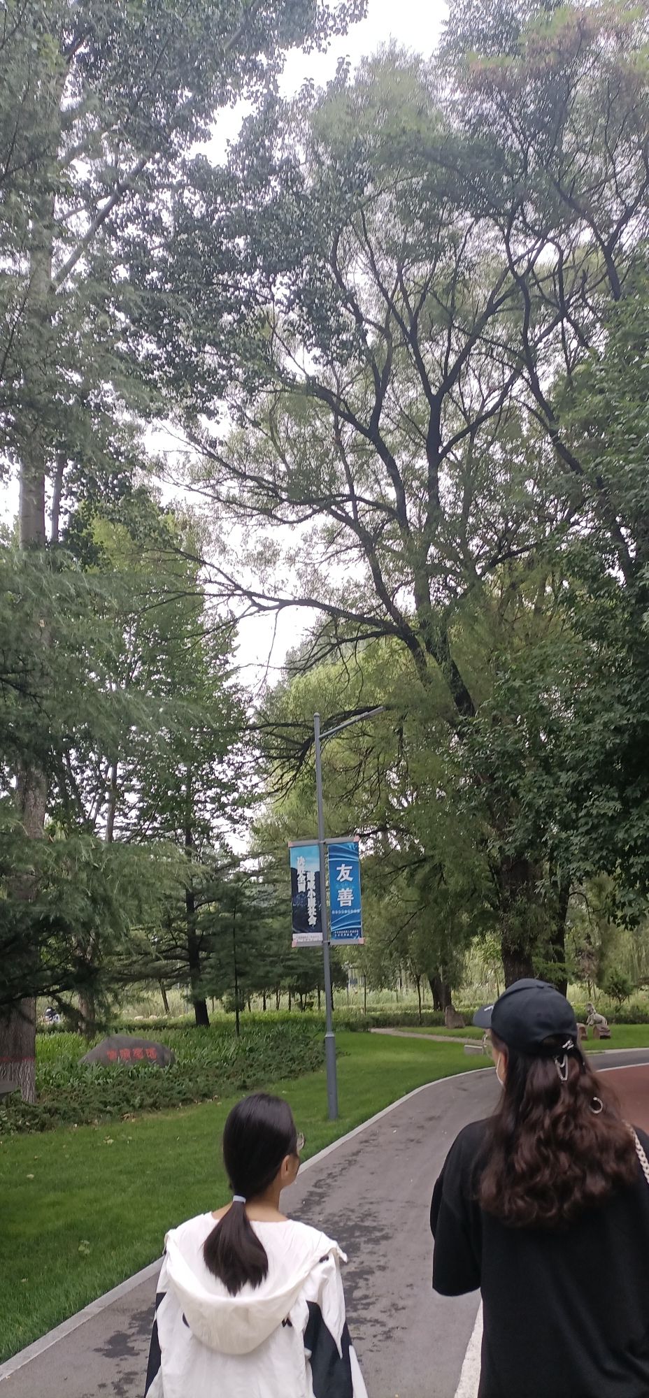 太行公园旅行图片 3