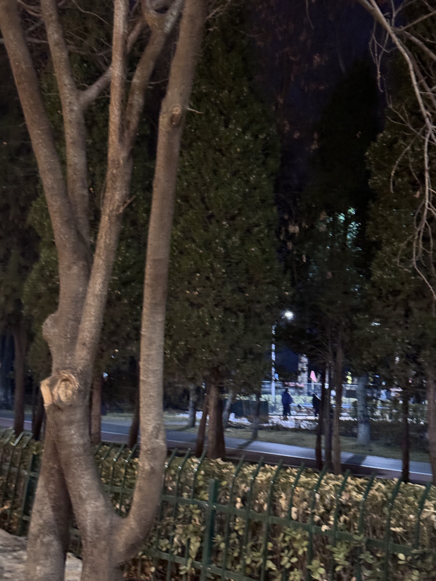 太行公园旅行图片 1