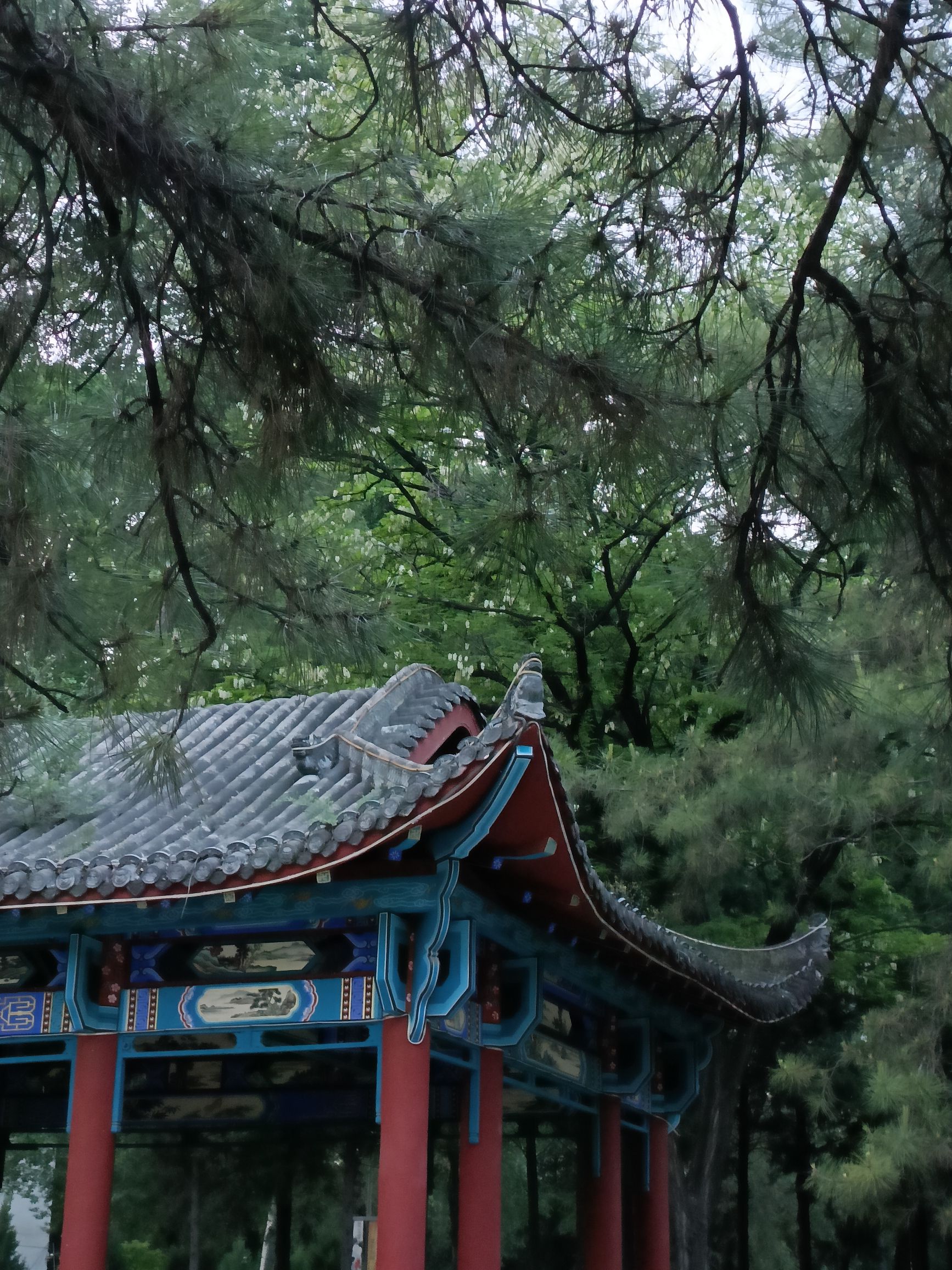 太行公园旅行图片 2