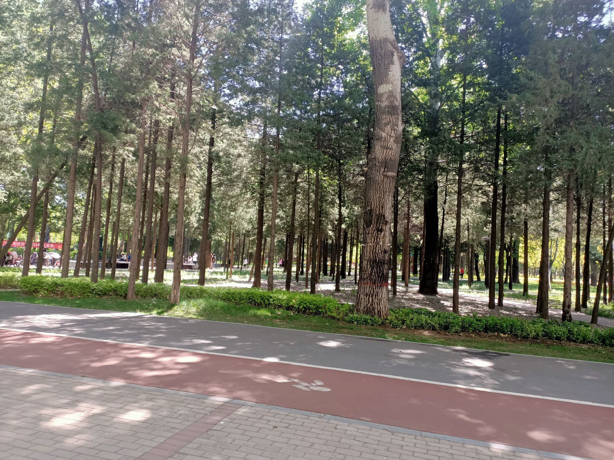 太行公园旅行图片 1