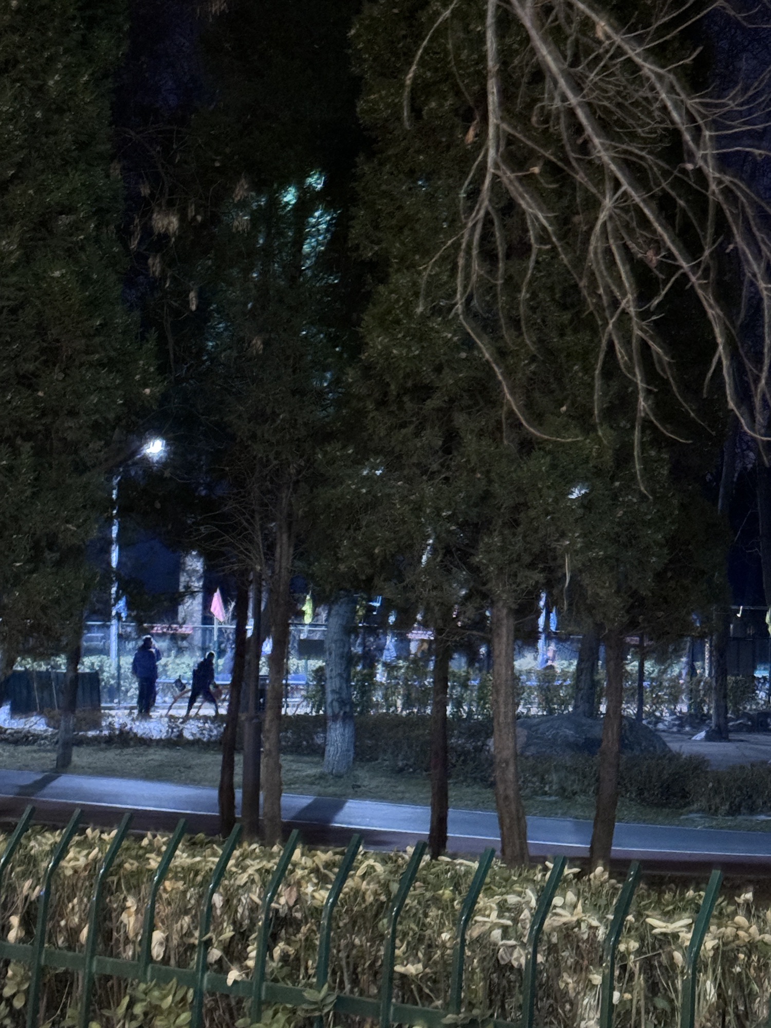 太行公园旅行图片 2
