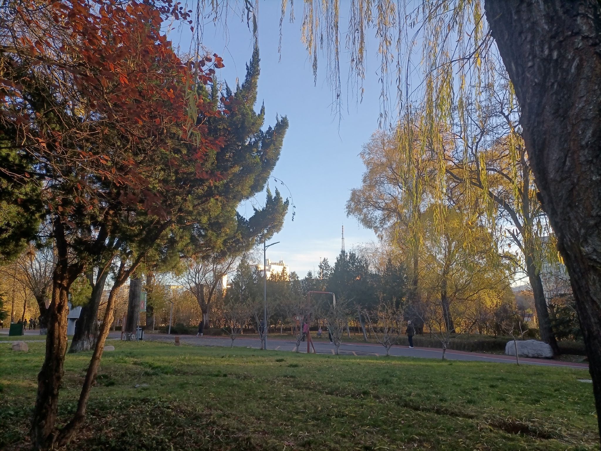 太行公园旅行图片 1