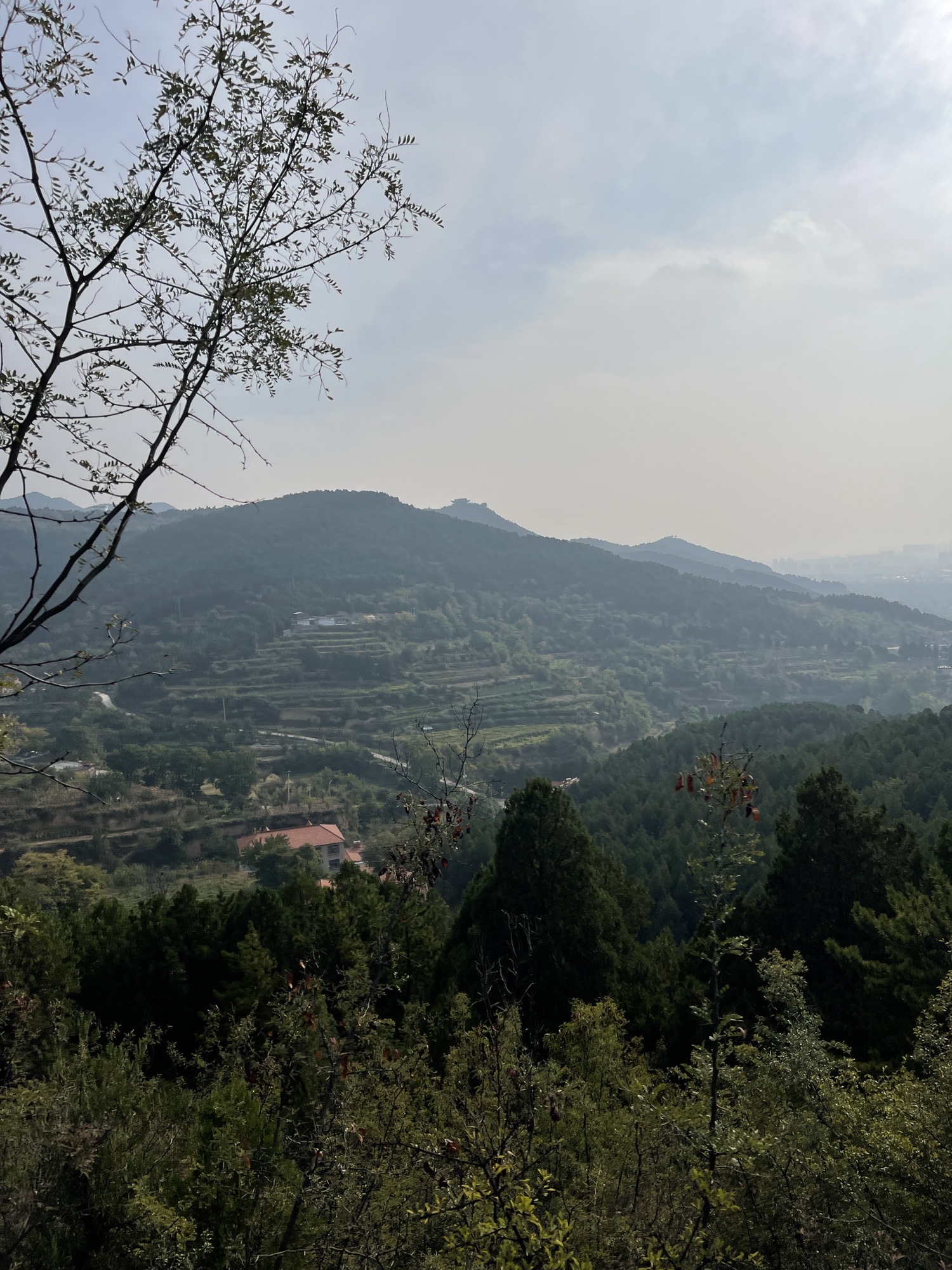 老顶山国家森林公园旅行图片 3