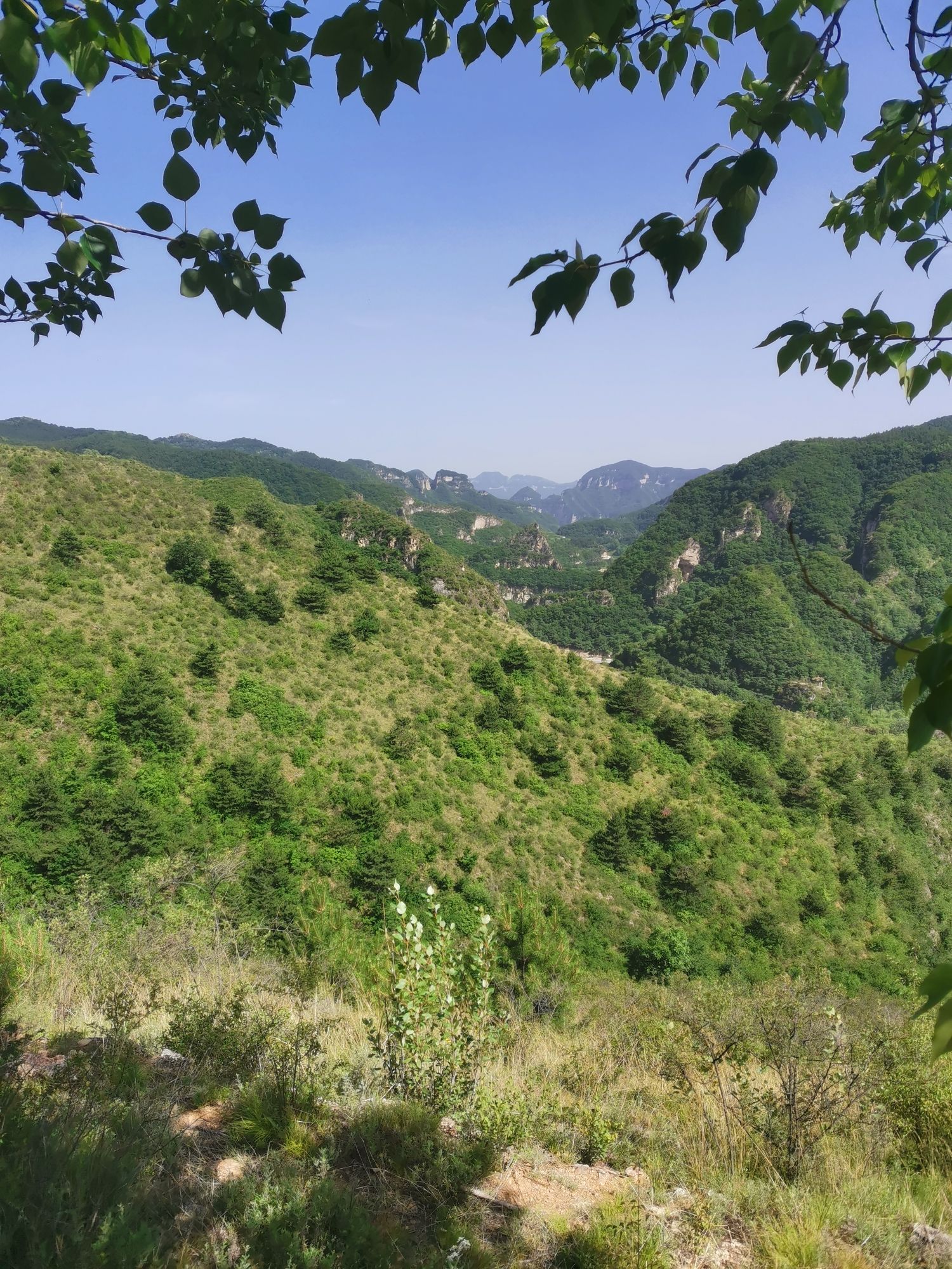 神龙湾挂壁公路观景台旅行图片 2