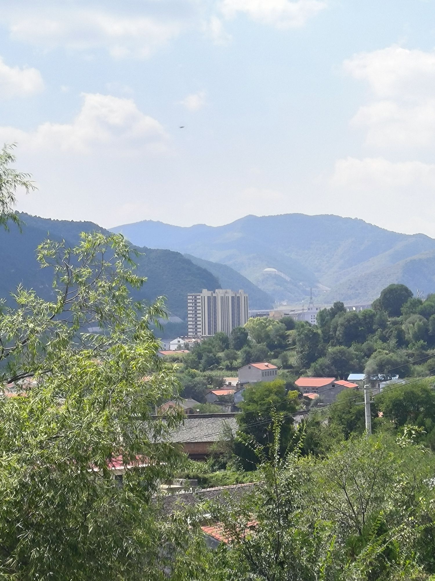 祥龙公园旅行图片 2