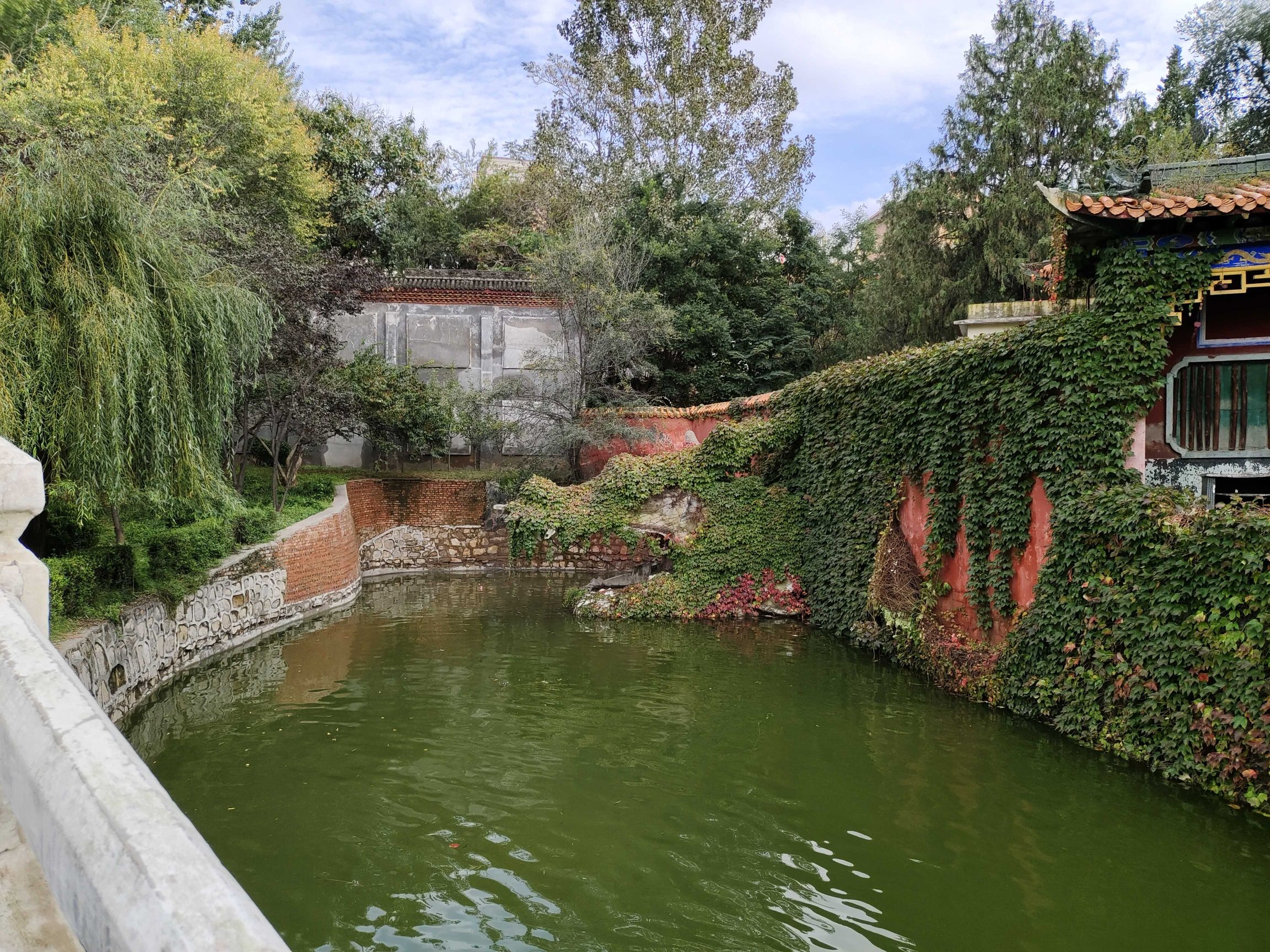 人民公园旅行图片 2