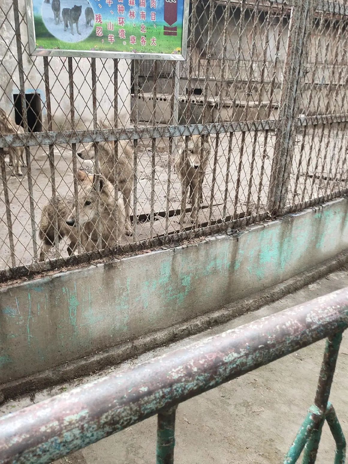 人民公园旅行图片 3