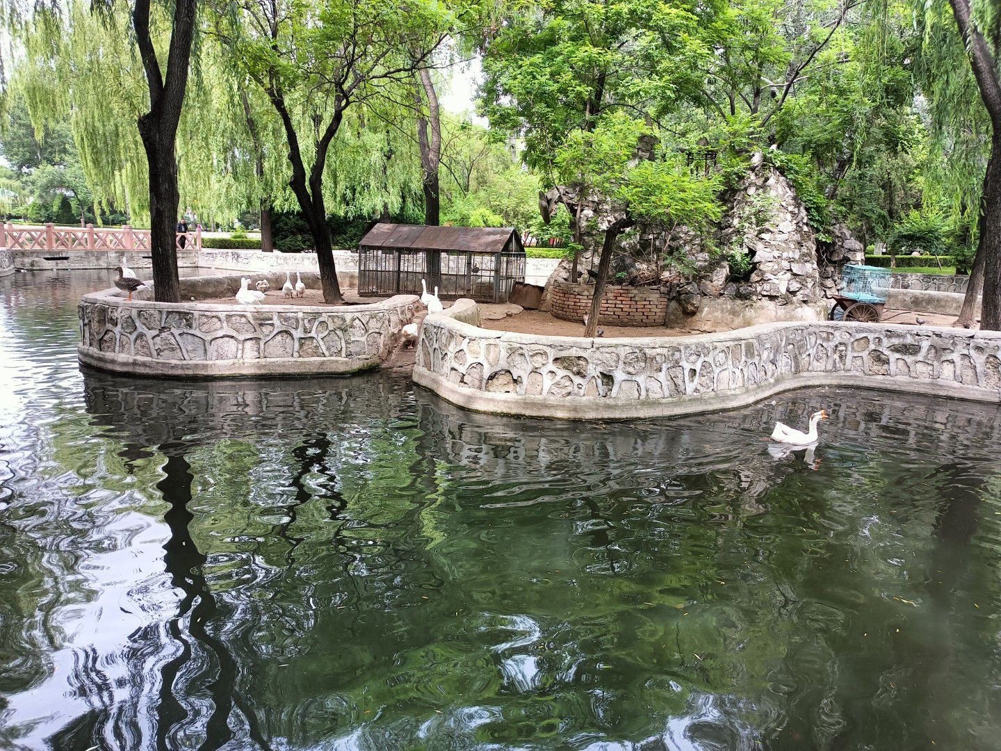 人民公园旅行图片 3