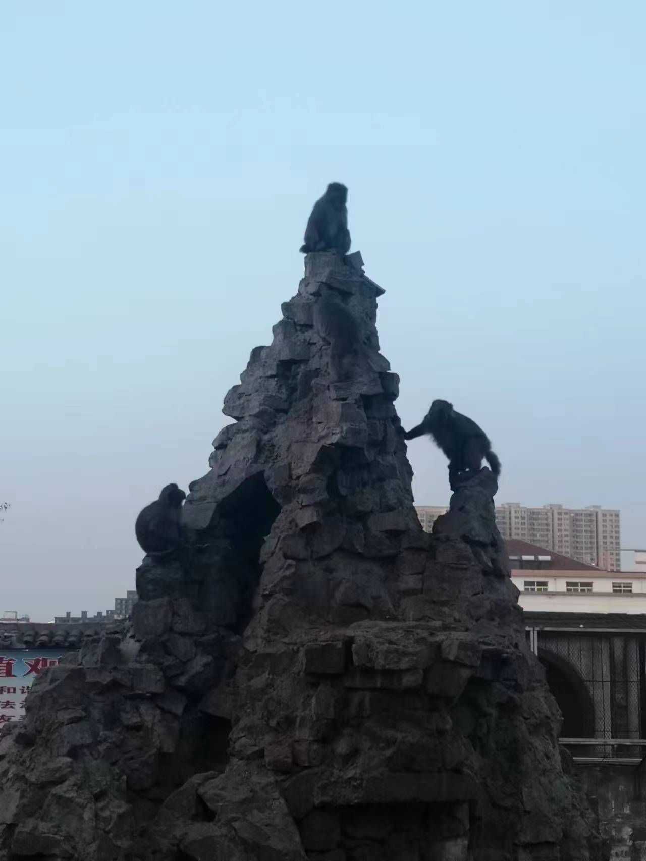 人民公园旅行图片 3