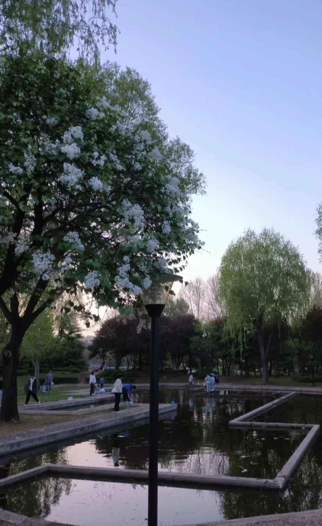 惠丰公园