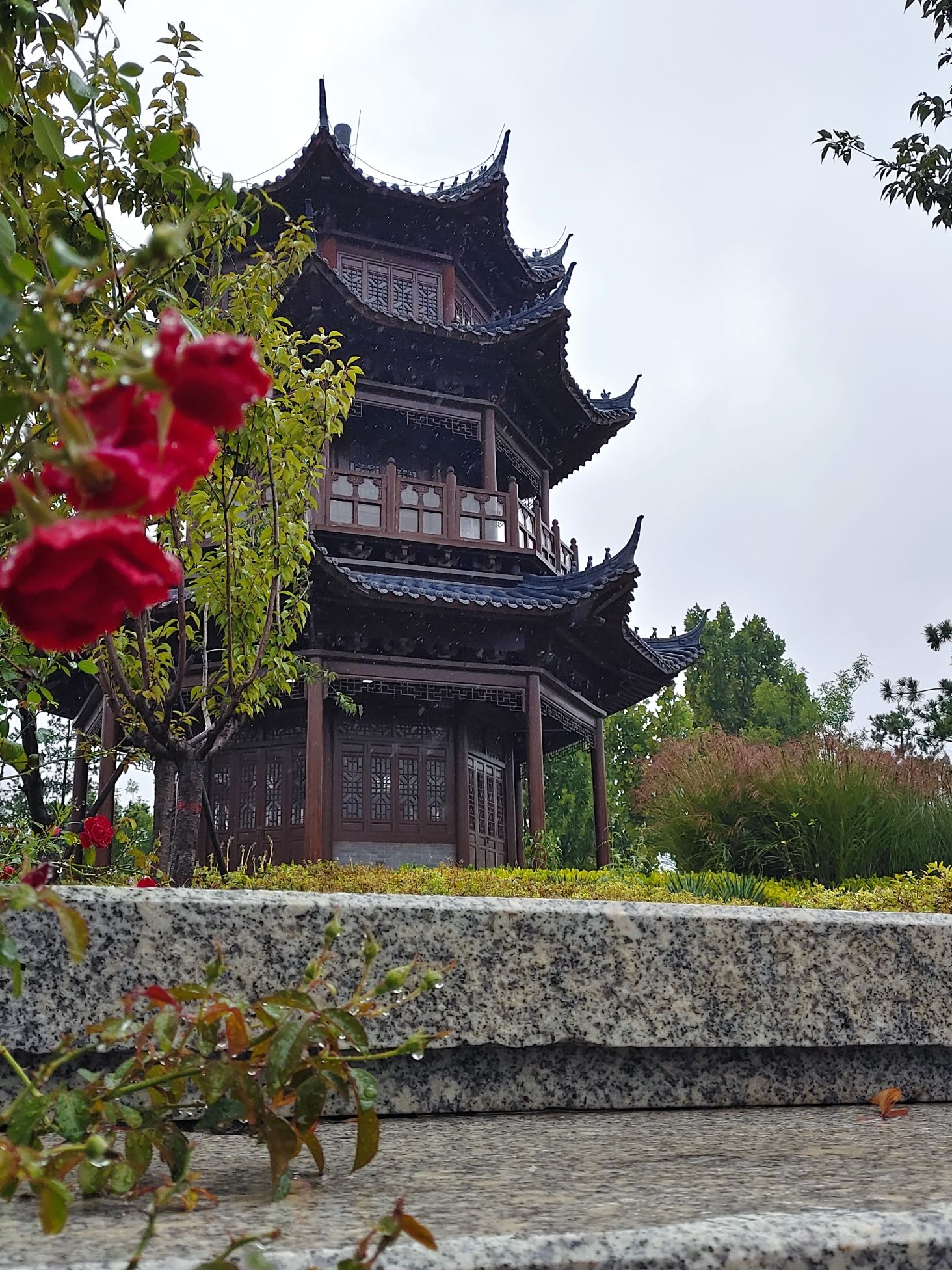 漳泽湖国家城市湿地公园旅行图片 3
