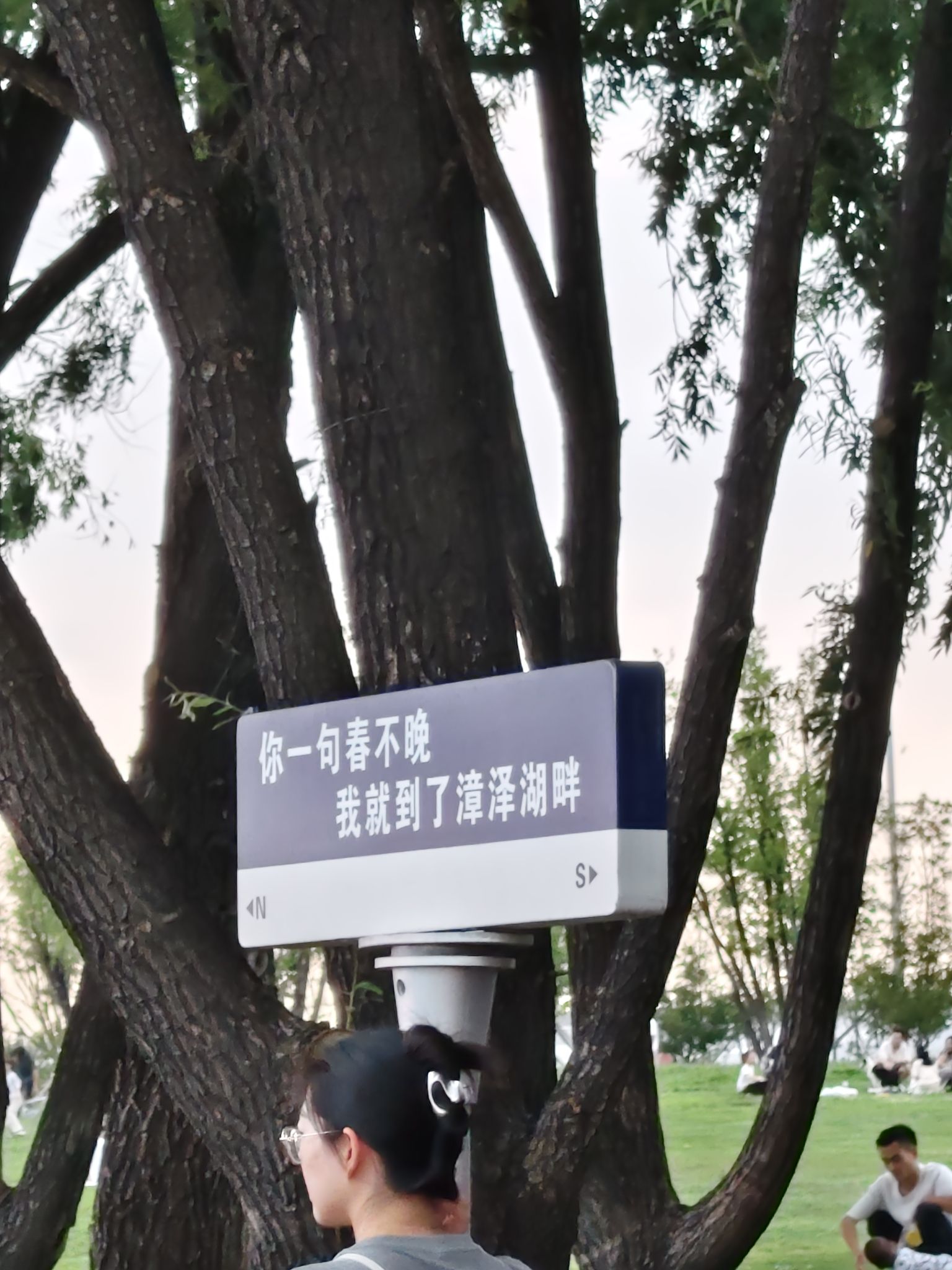 漳泽湖国家城市湿地公园旅行图片 3