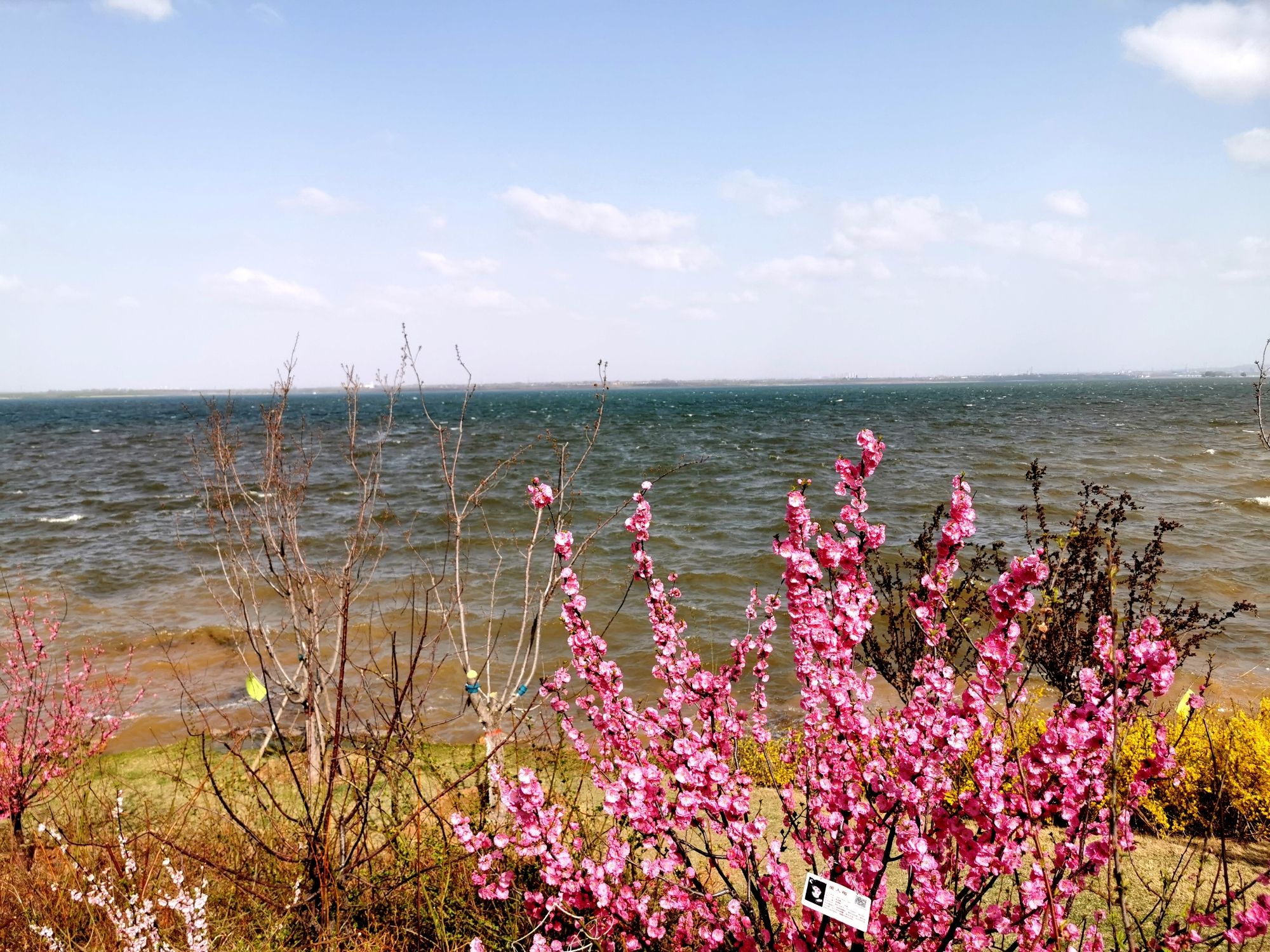 漳泽湖国家城市湿地公园旅行图片 2