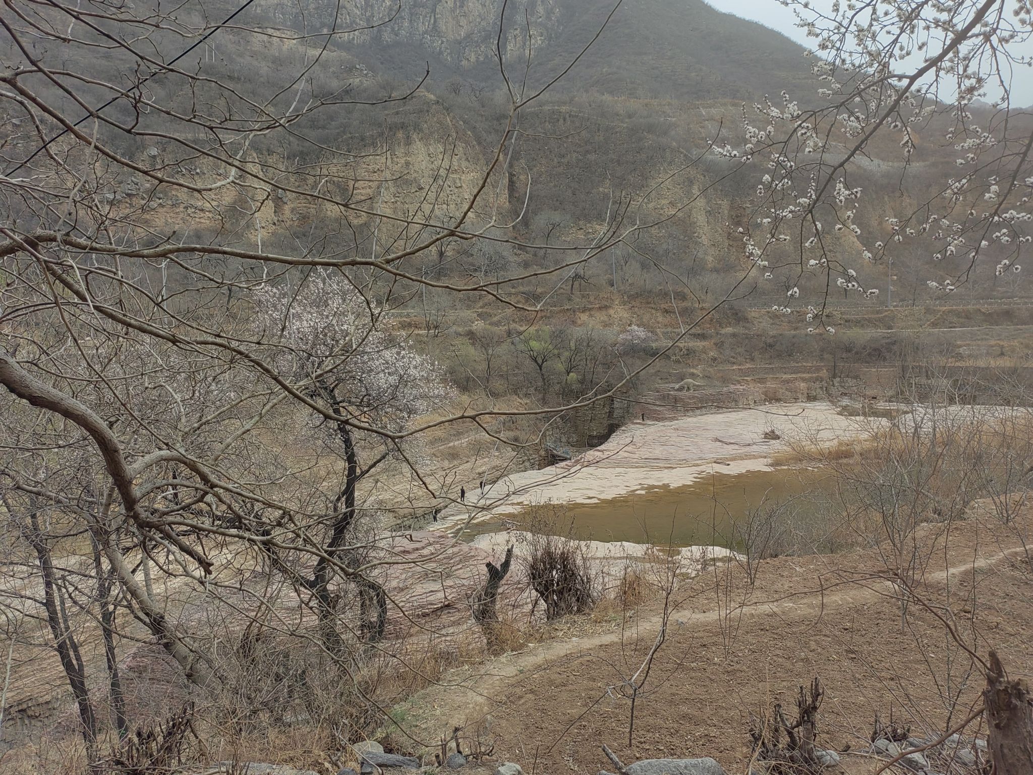 红石坪旅行图片 2