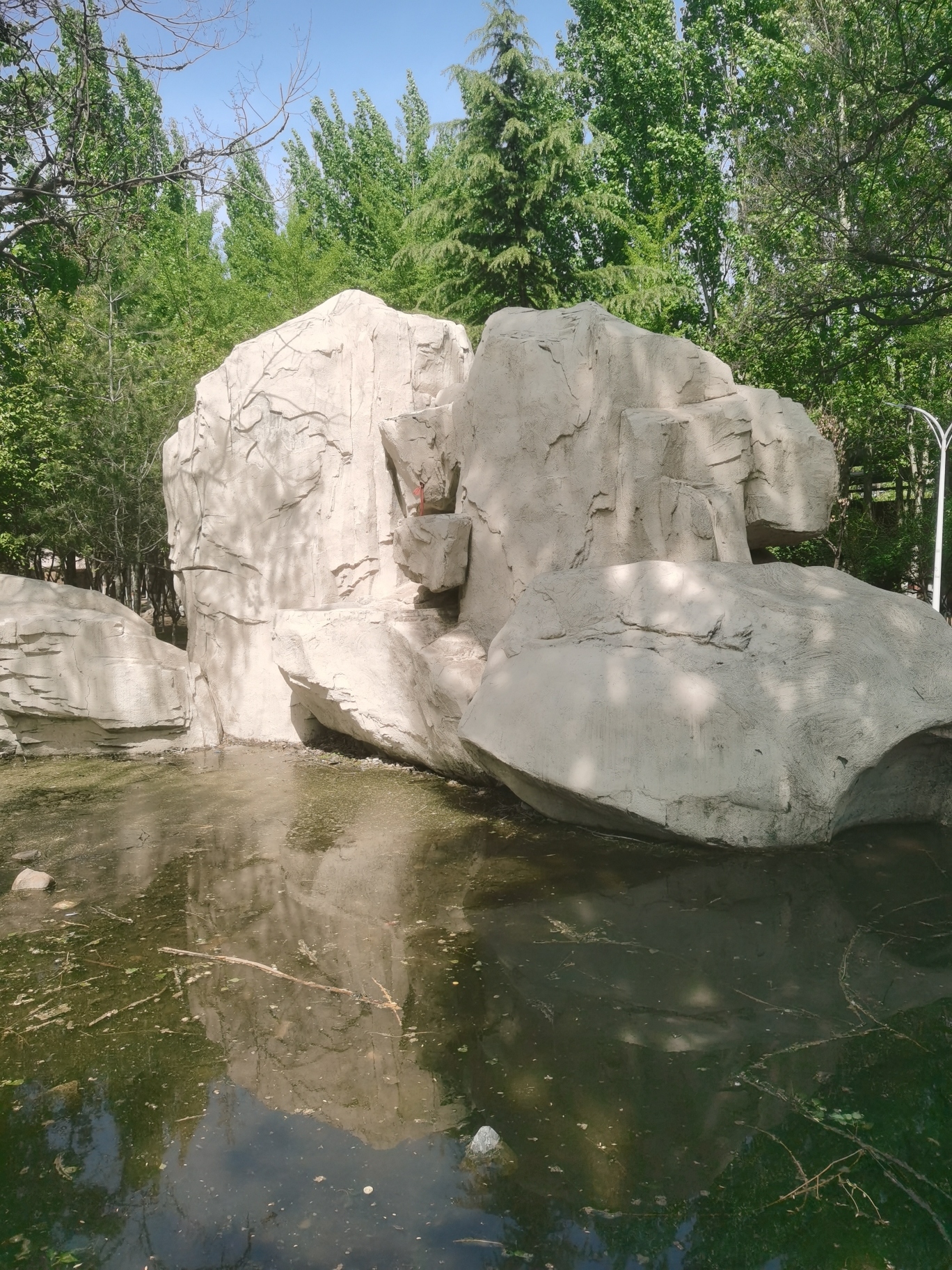 长钢森林公园旅行图片 1