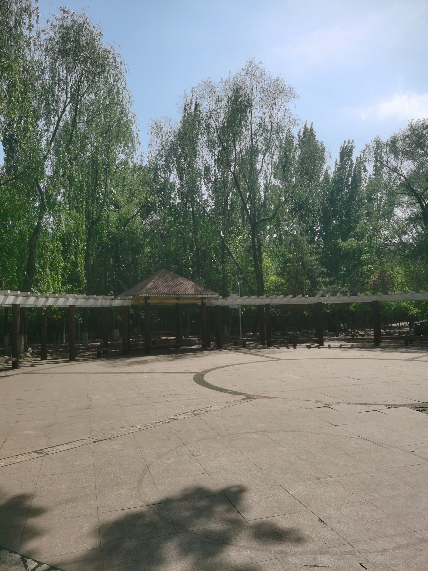 长钢森林公园旅行图片 2