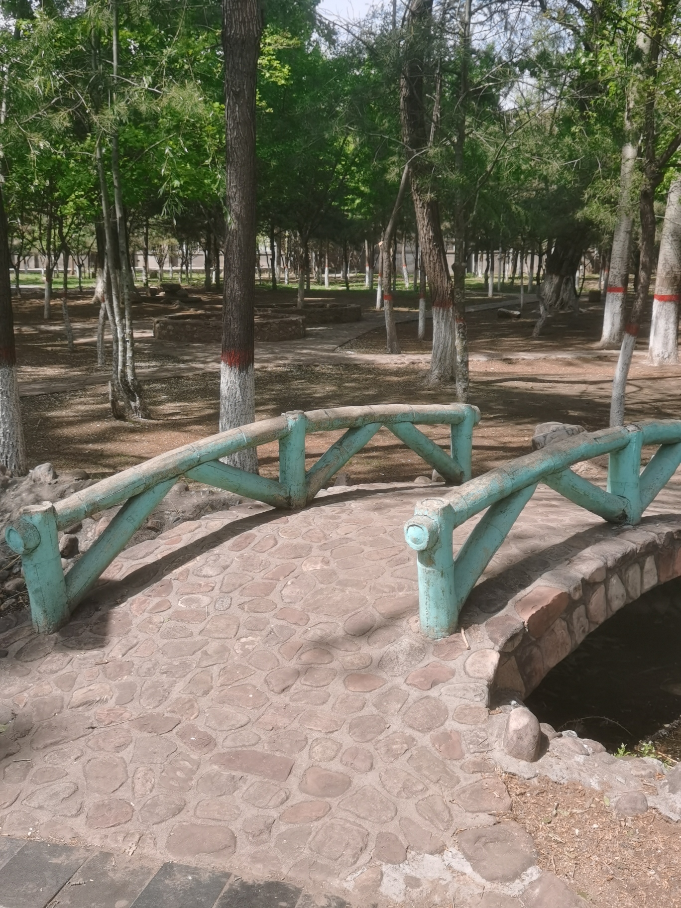 长钢森林公园旅行图片 3