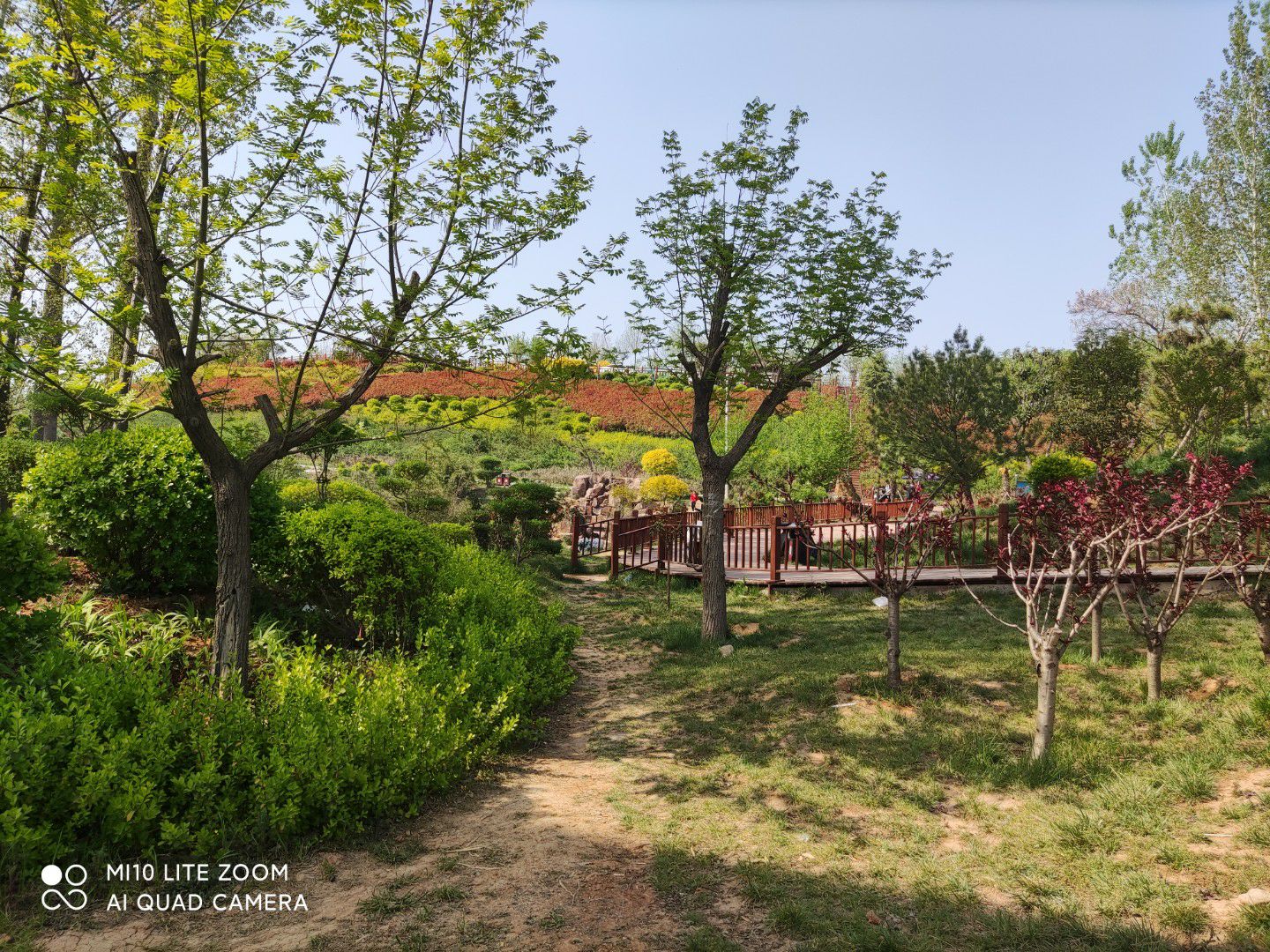 八一湖风景区旅行图片 3