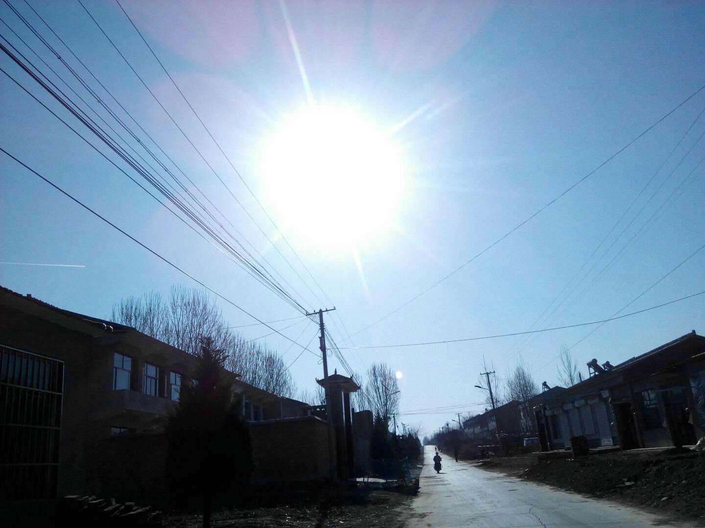 八一湖风景区旅行图片