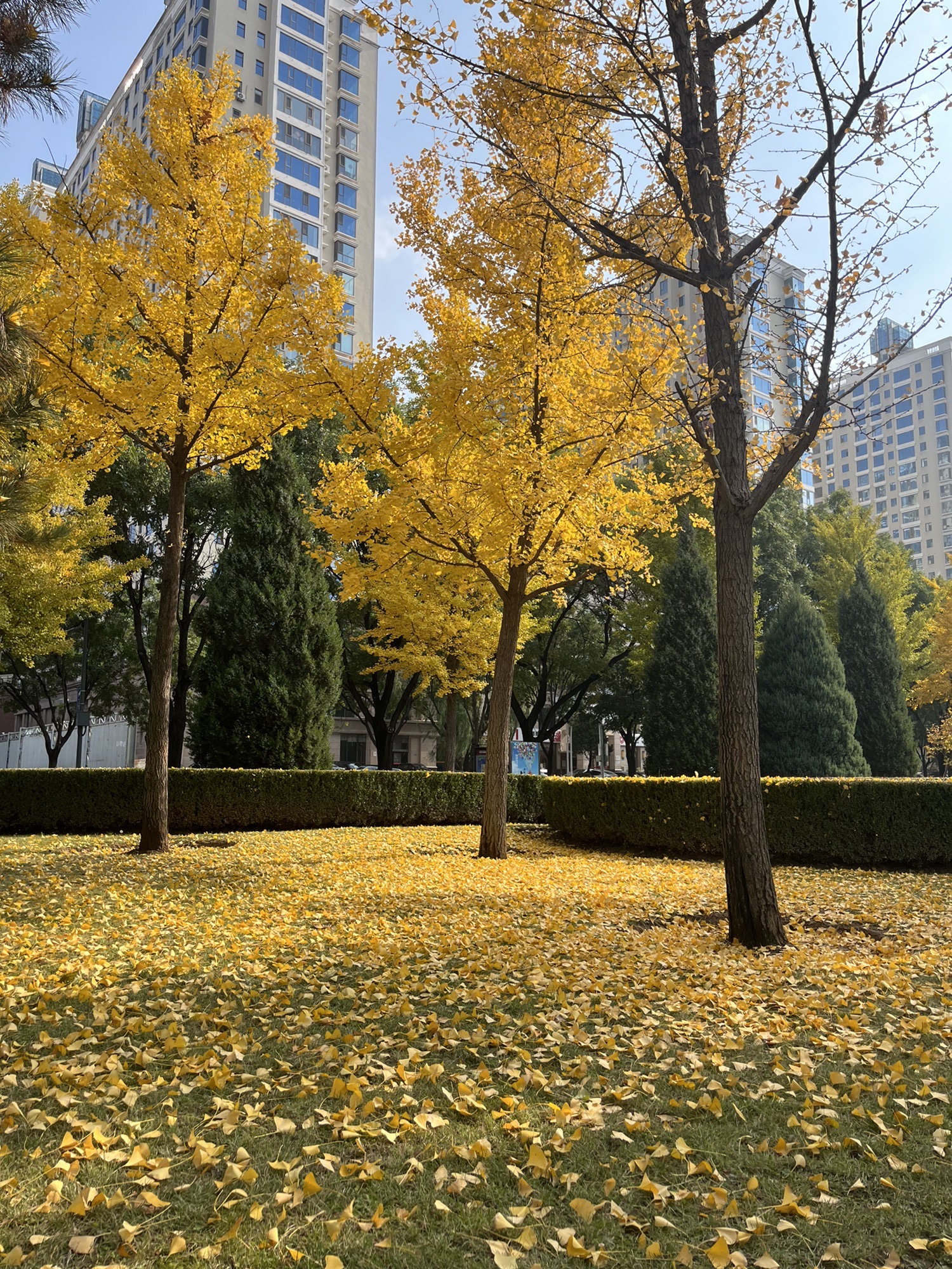 滨河公园旅行图片 3