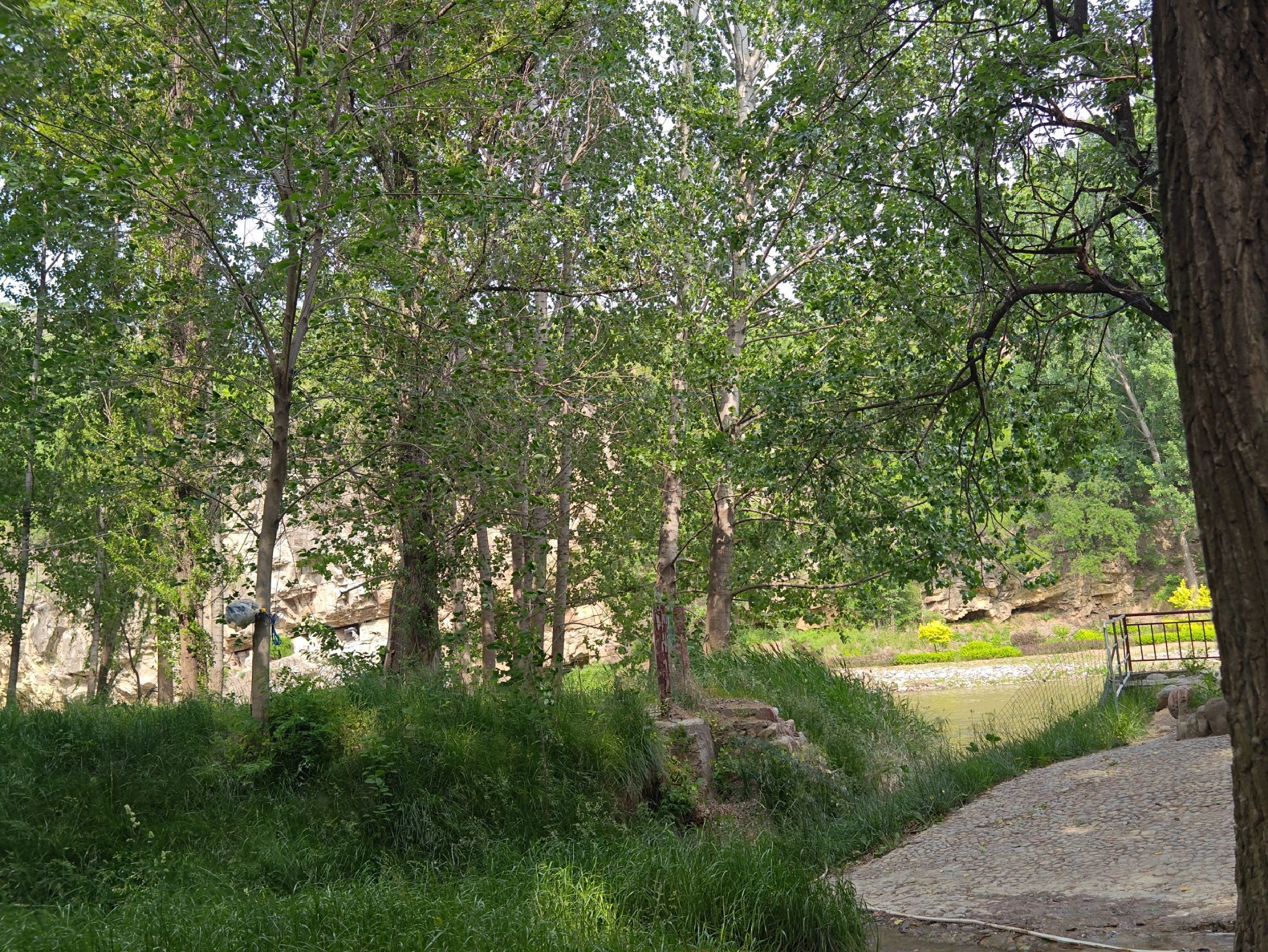 高山流水景区旅行图片 1