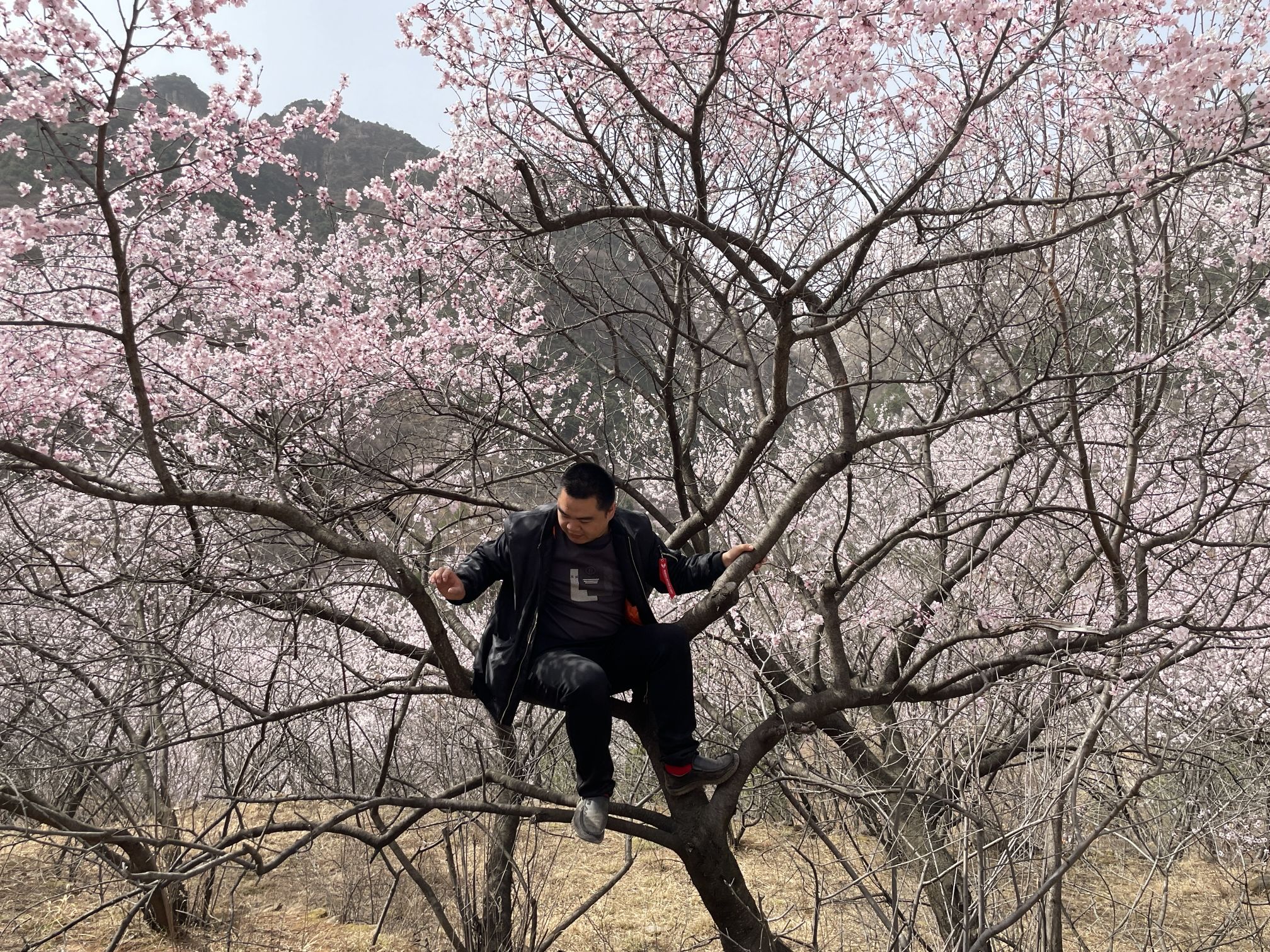 九龙洞风景区旅行图片 3