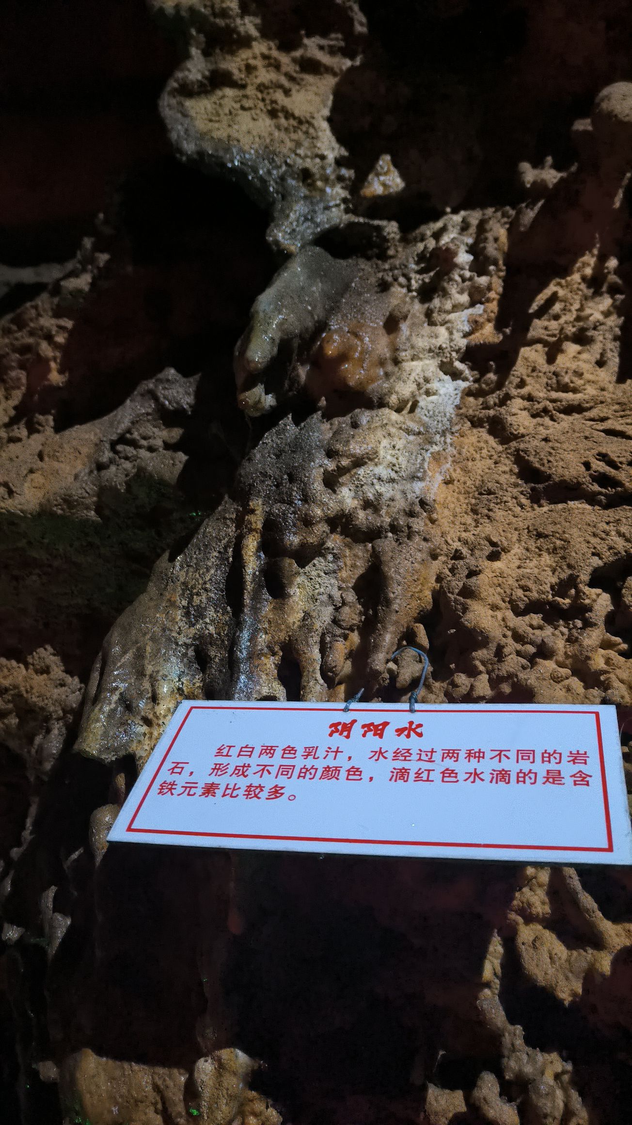 九龙洞风景区旅行图片 3