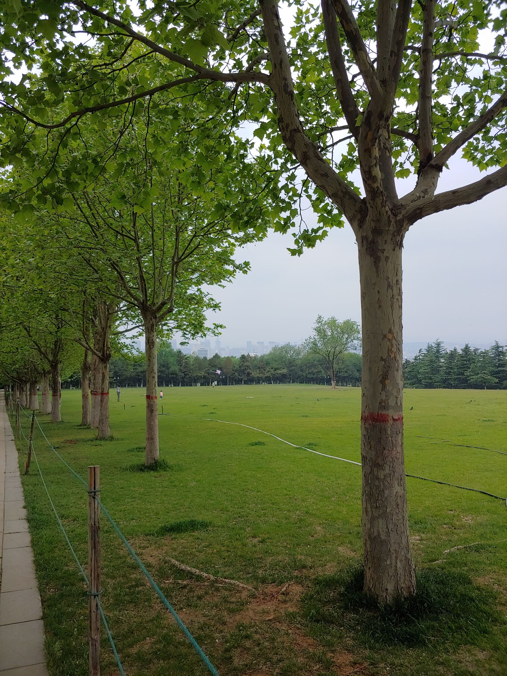 泽州公园旅行图片 3