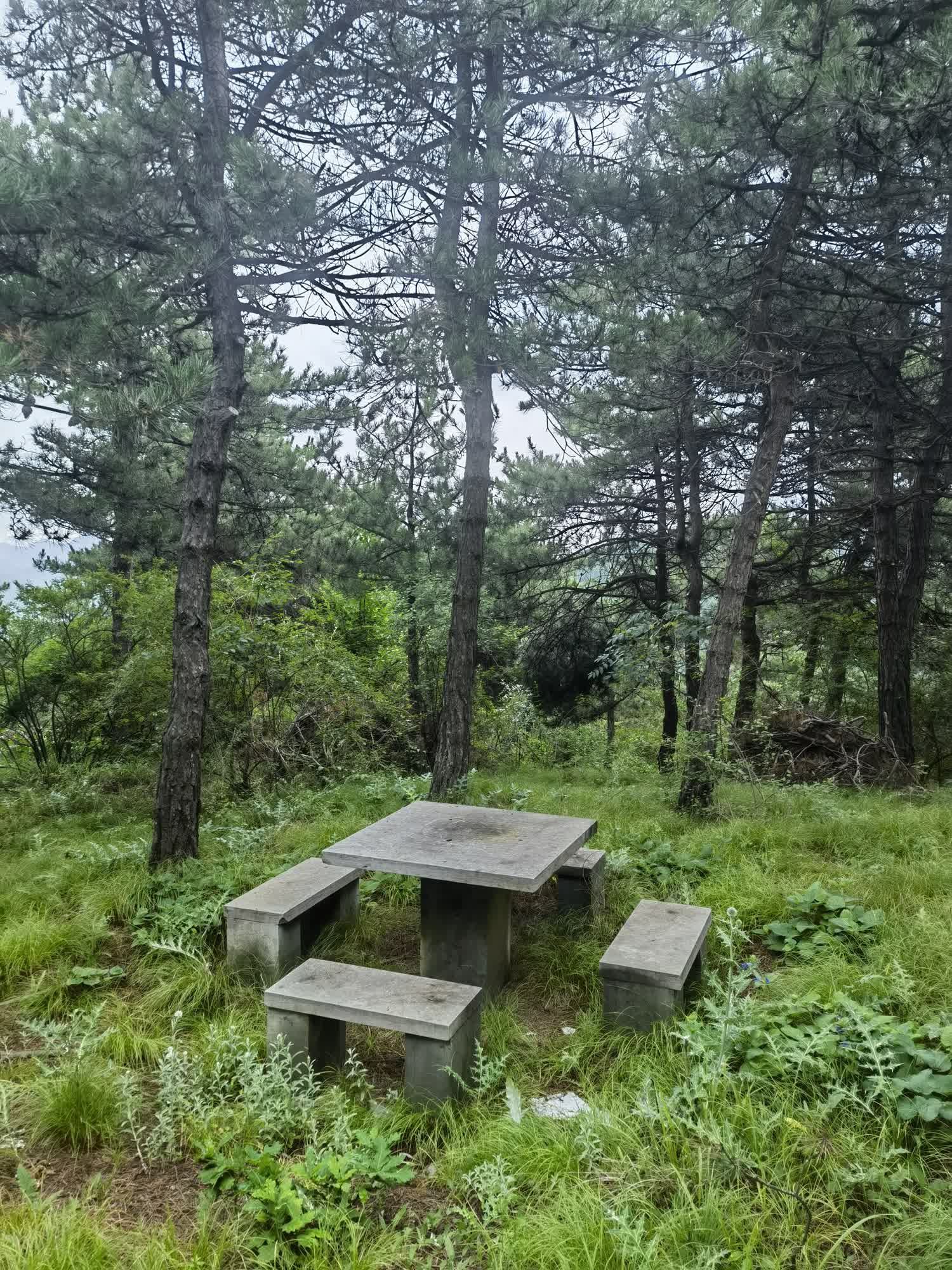 棋子山国家森林公园旅行图片 1