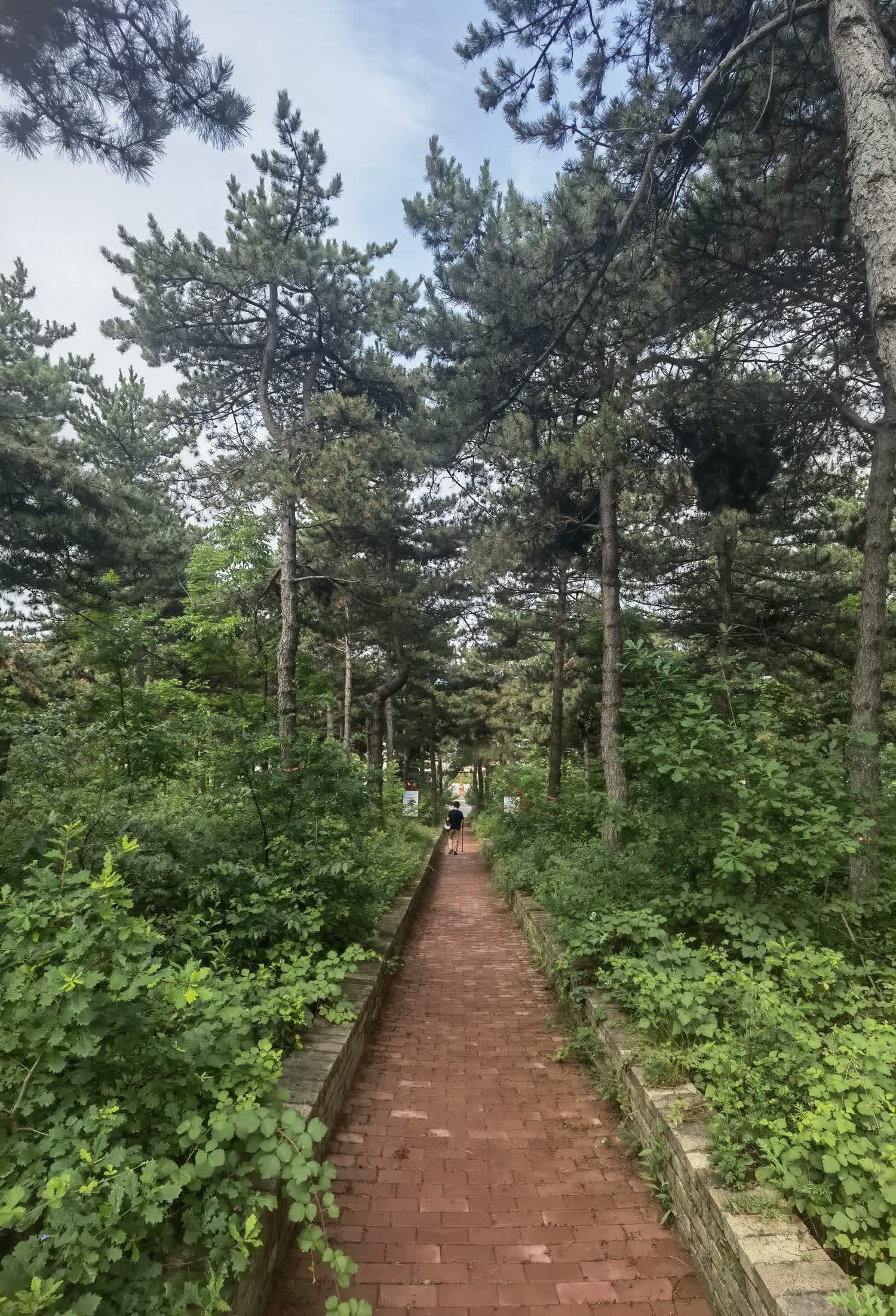 棋子山国家森林公园旅行图片 3