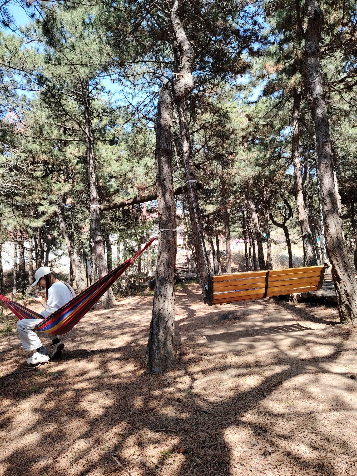 棋子山国家森林公园旅行图片 2