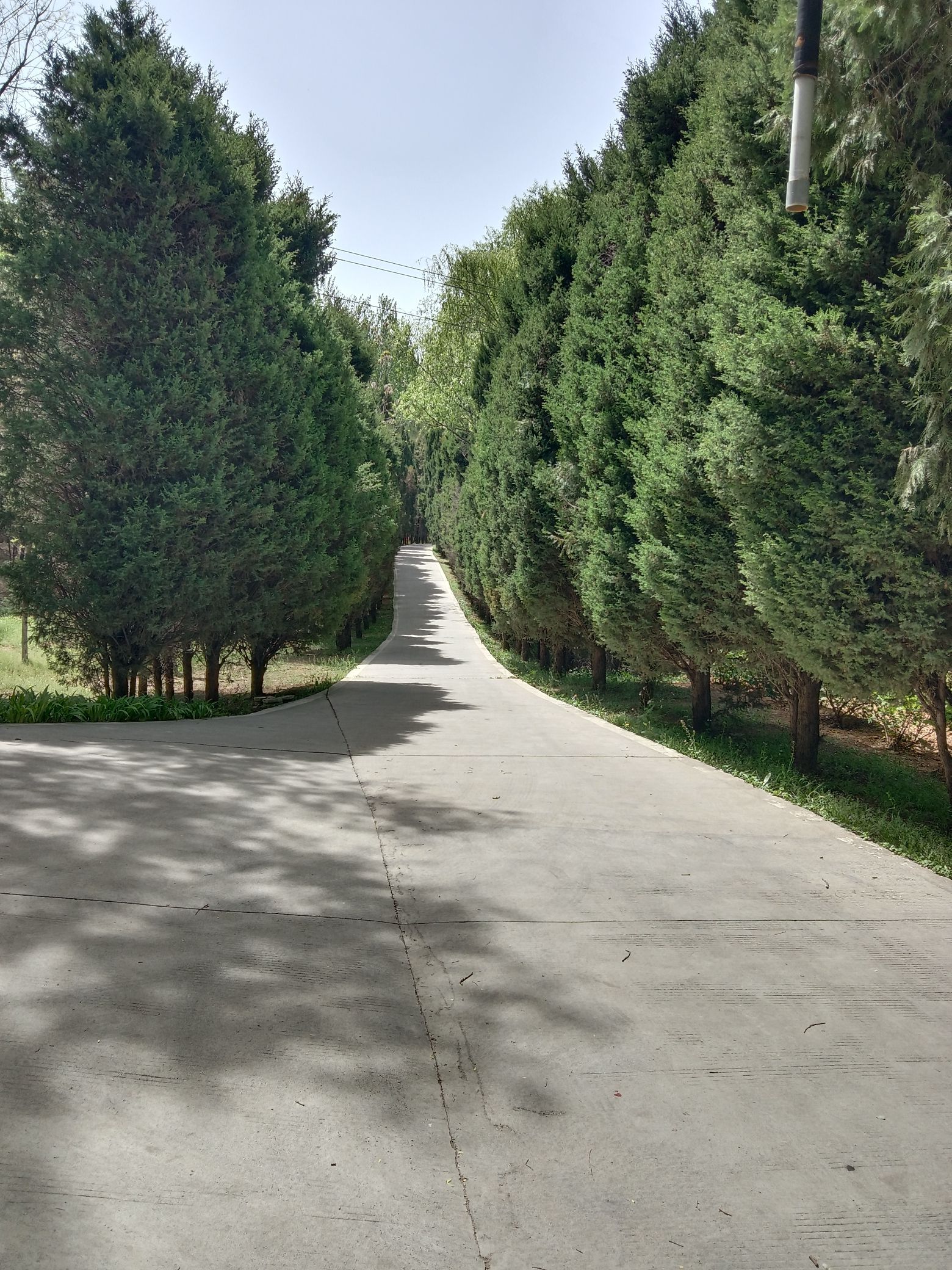 凤凰岭森林公园旅行图片 2
