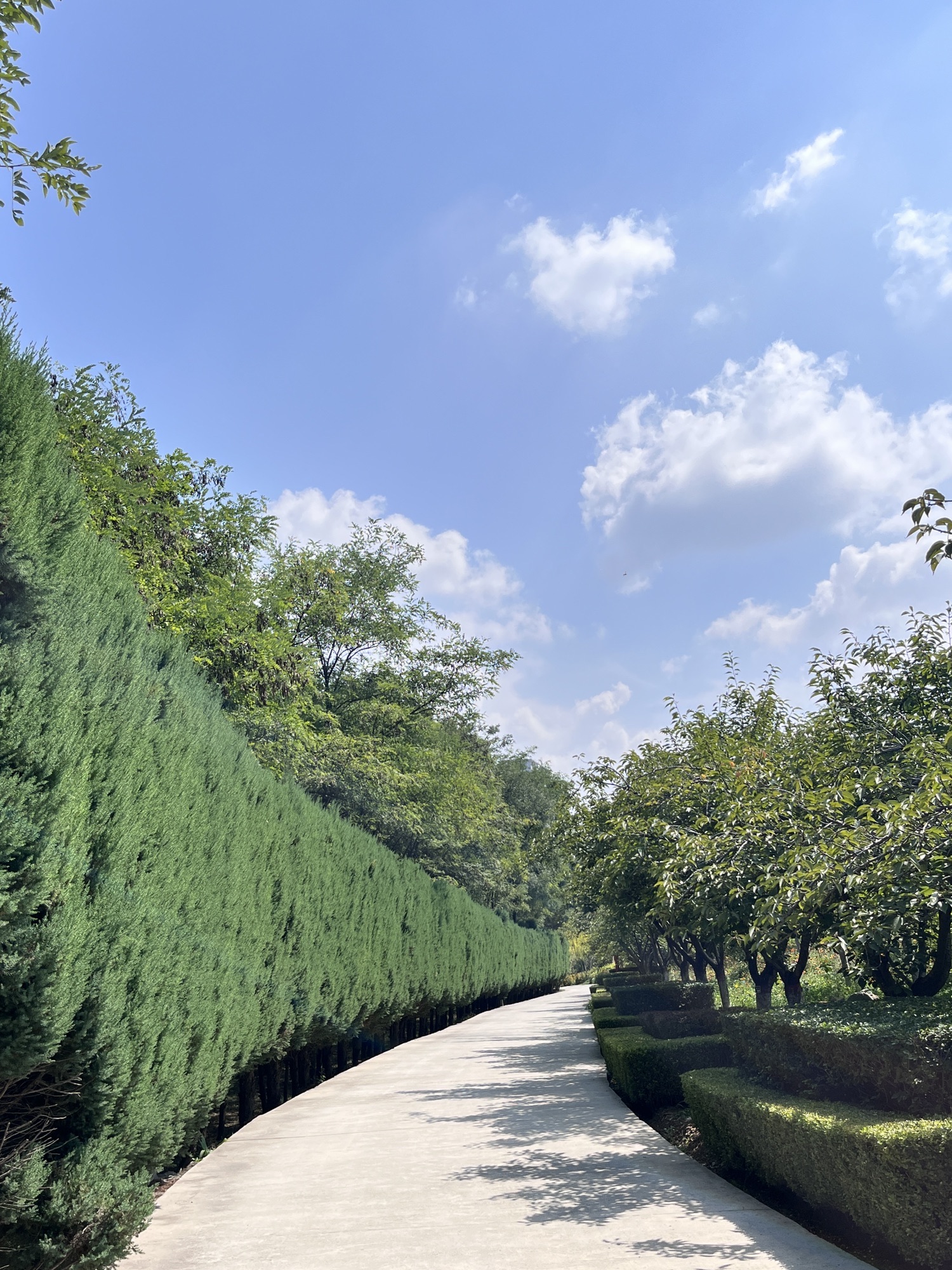 凤凰岭森林公园旅行图片 3
