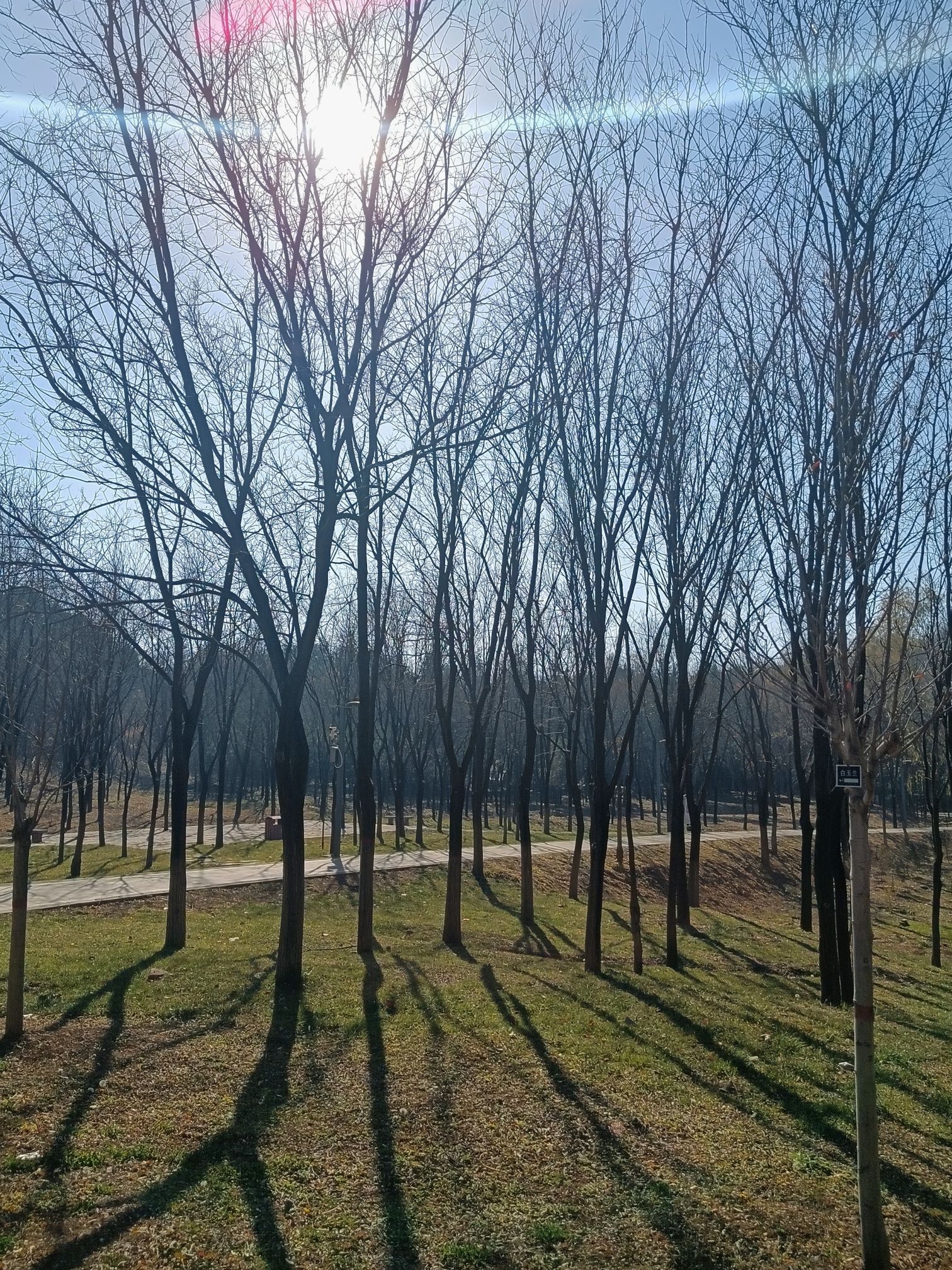 凤凰岭森林公园旅行图片 1