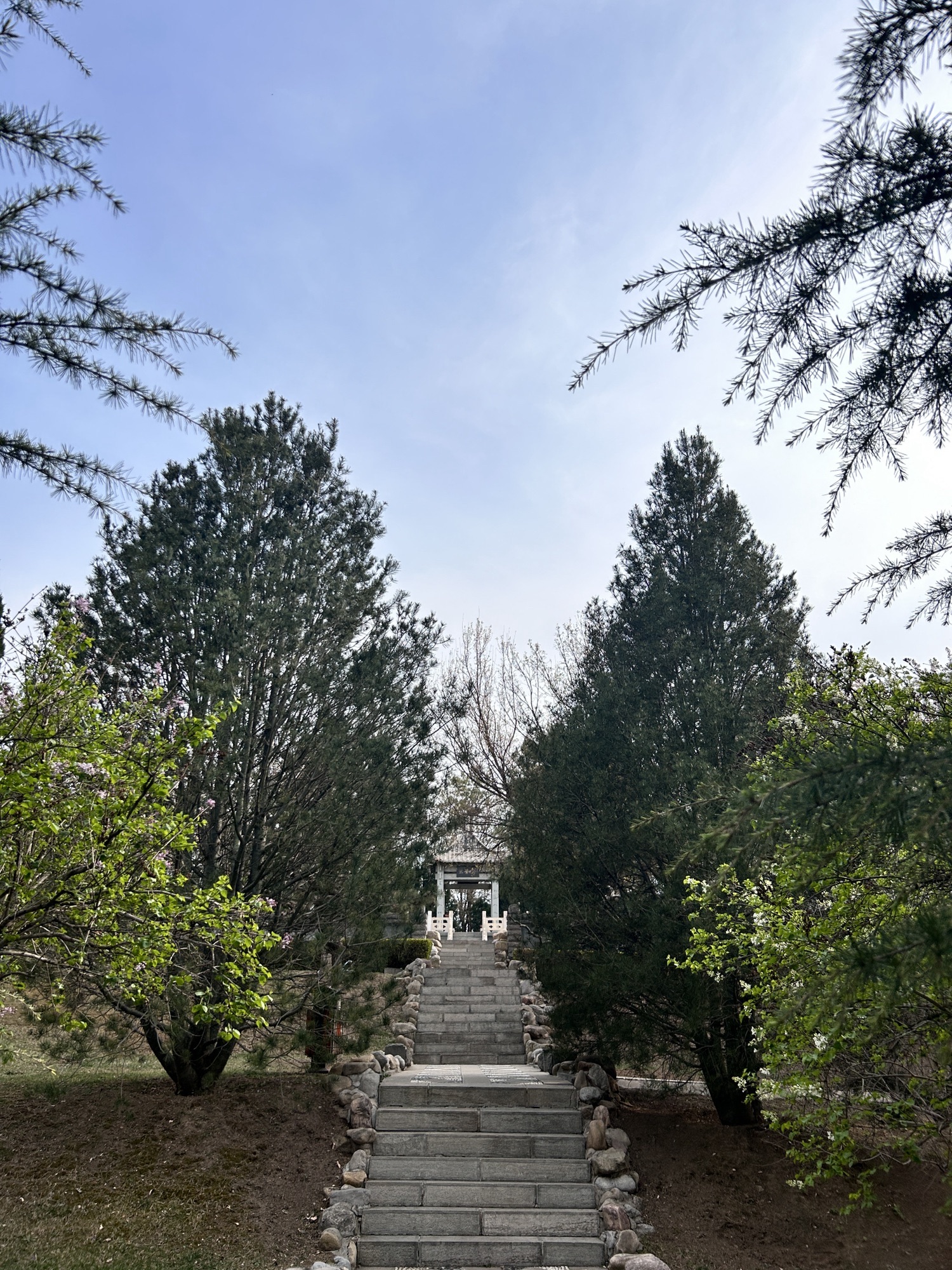 凤凰岭森林公园旅行图片 1