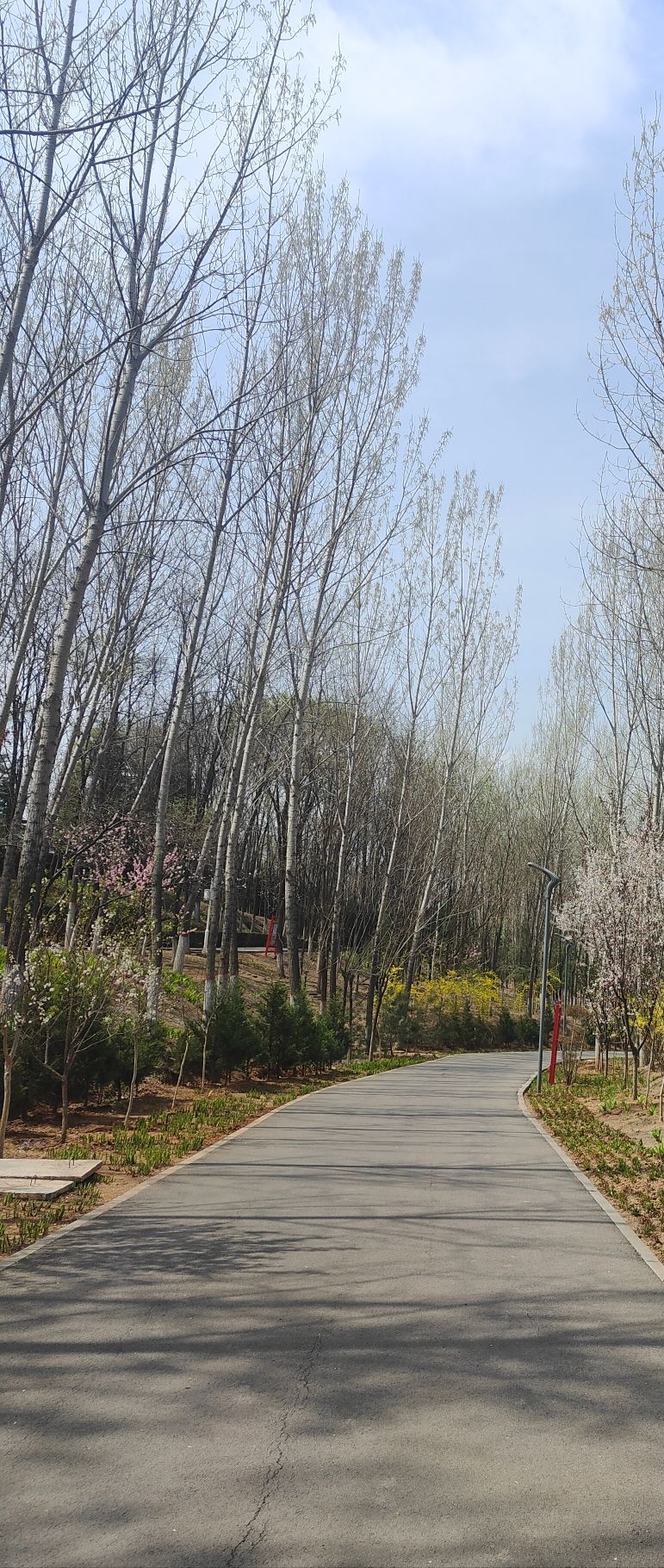 凤凰岭森林公园旅行图片 2