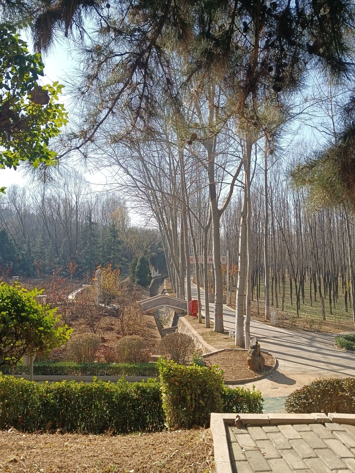 凤凰岭森林公园旅行图片 2