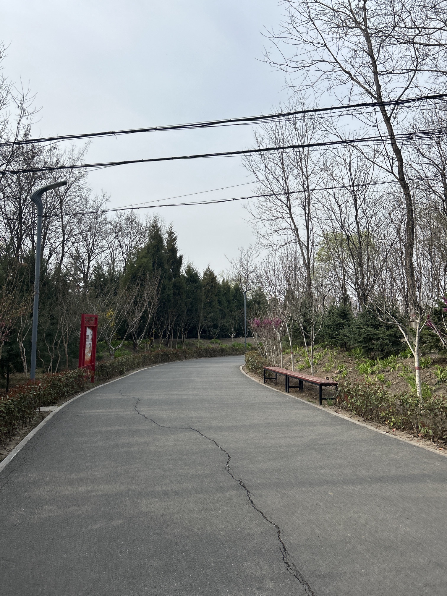 凤凰岭森林公园旅行图片 3