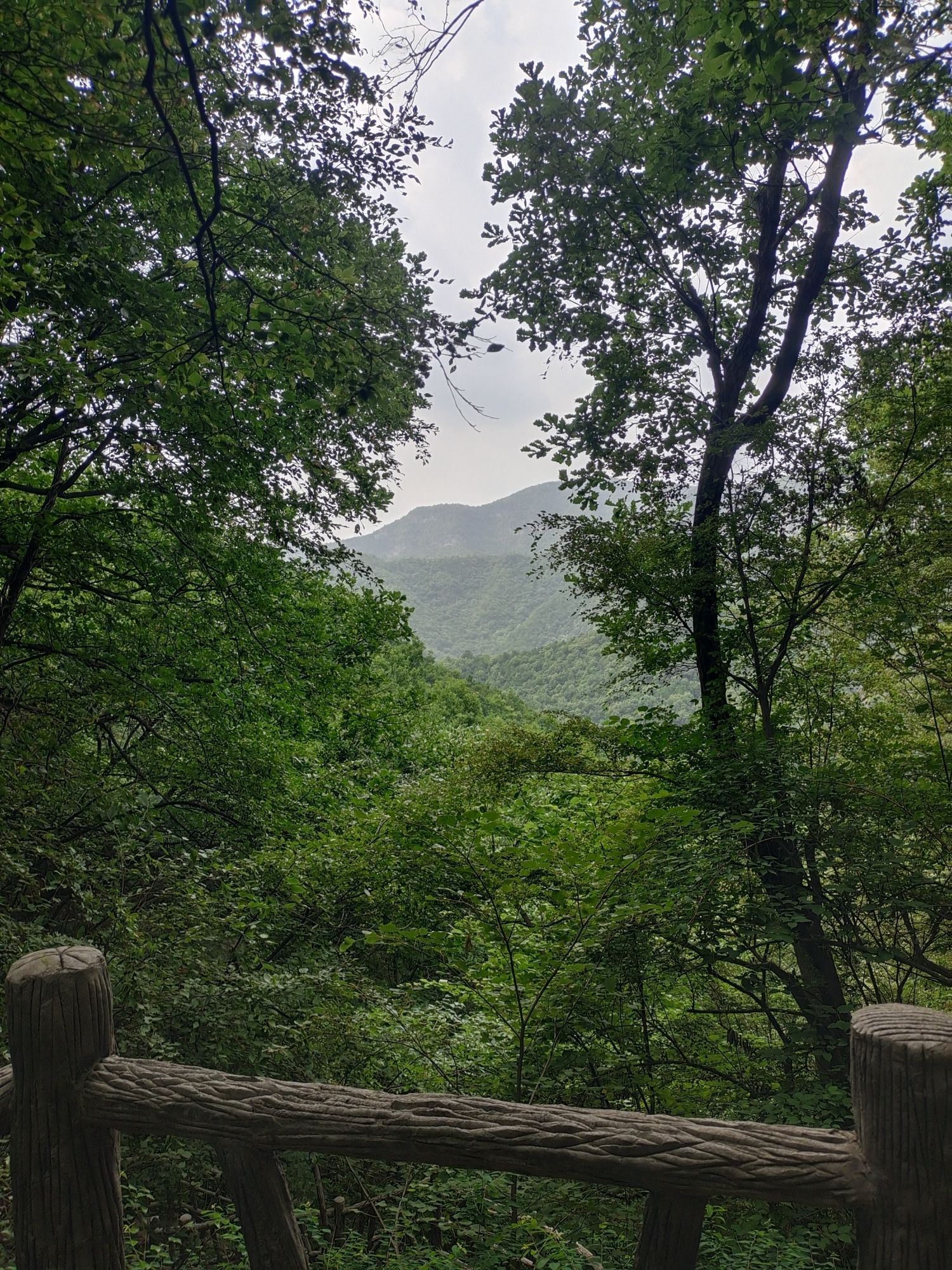 黄围山景区旅行图片 1