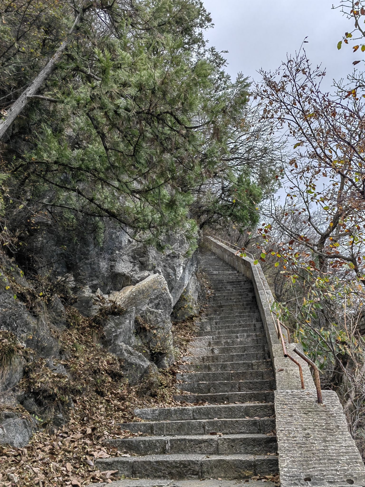 黄围山景区旅行图片 2