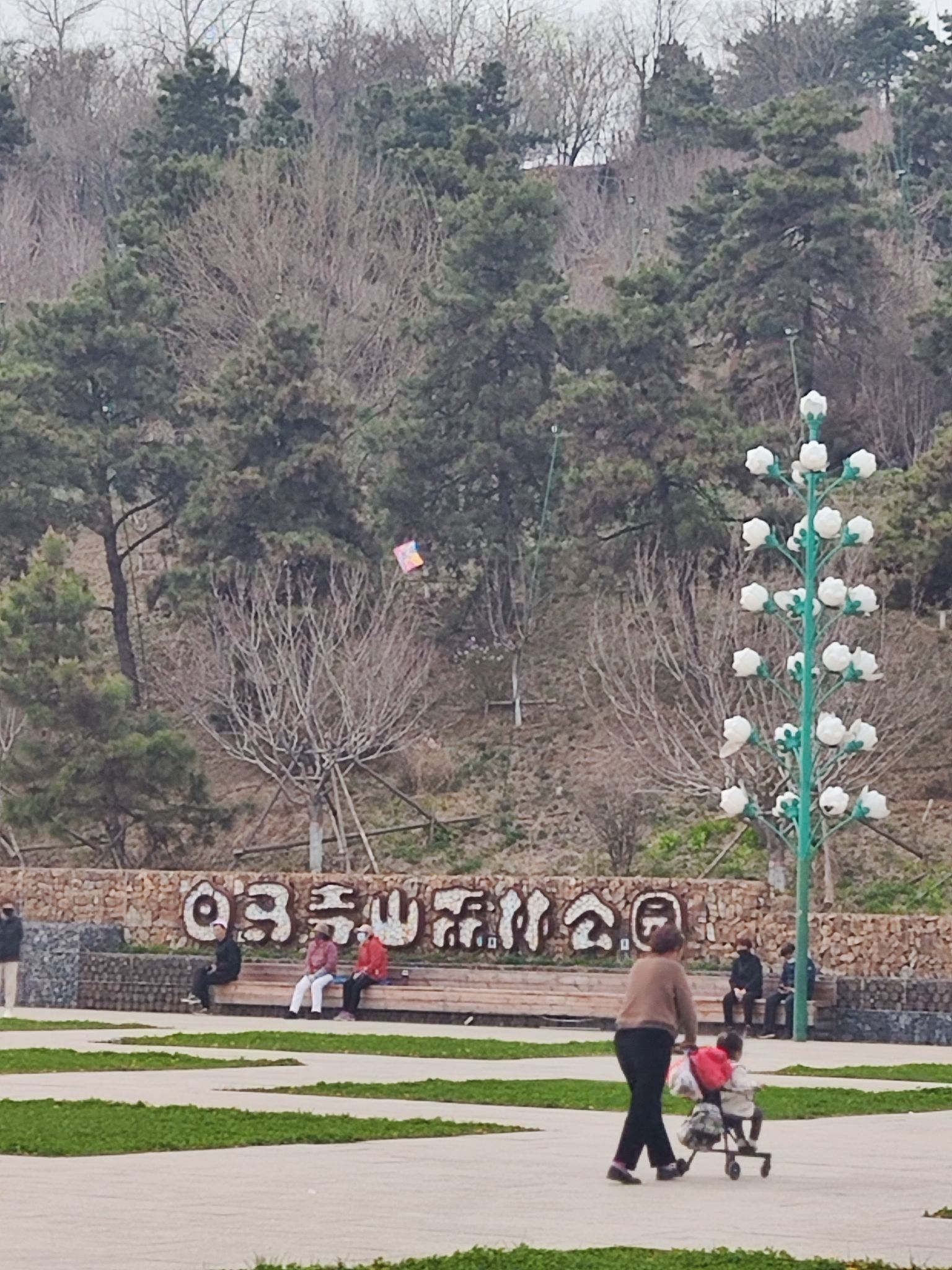 白马寺山森林公园旅行图片 1